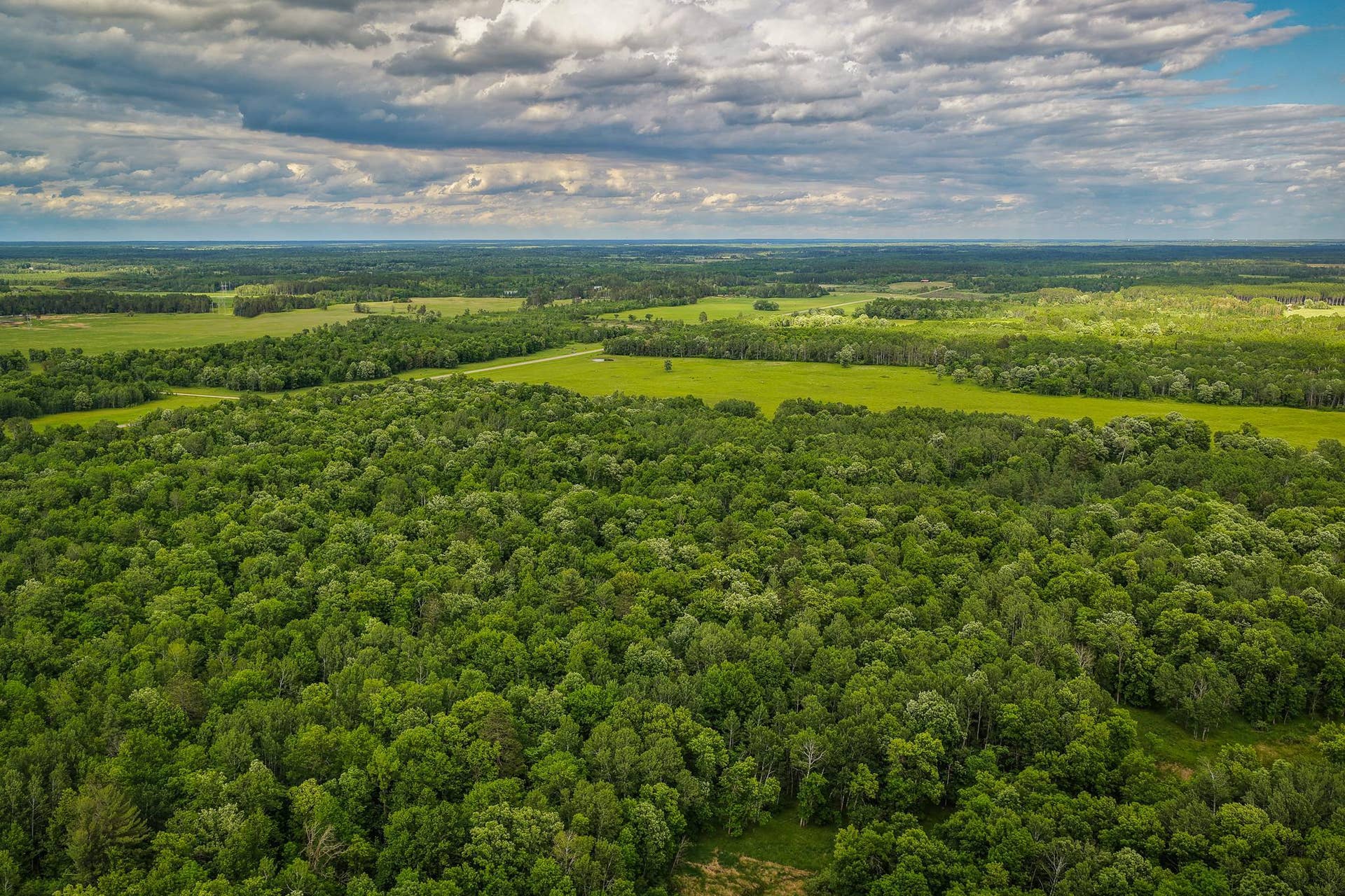 320th 320th, Shevlin, MN 56676 AW_ShevlinAcreage-