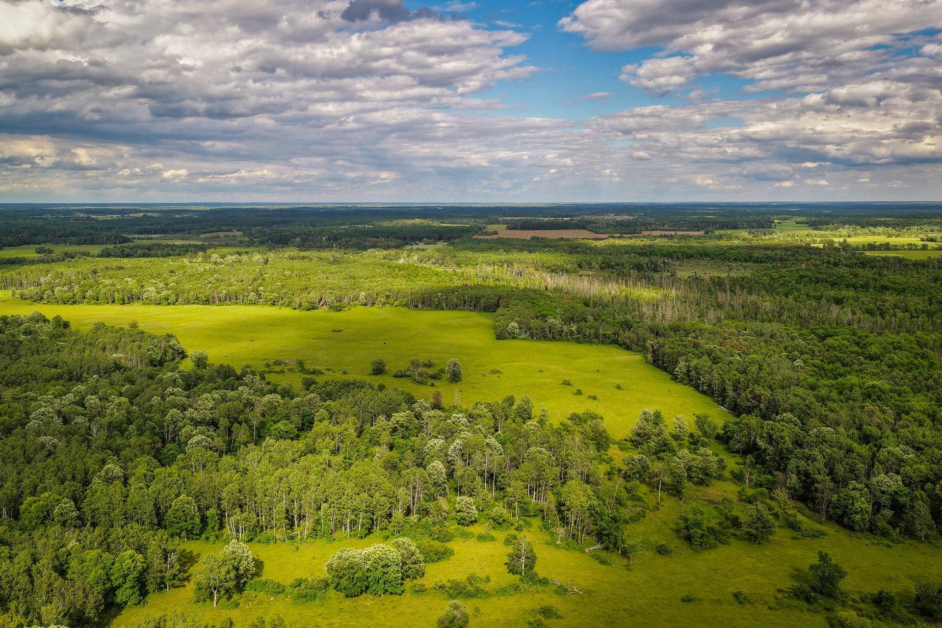 320th 320th, Shevlin, MN 56676 AW_ShevlinAcreage-