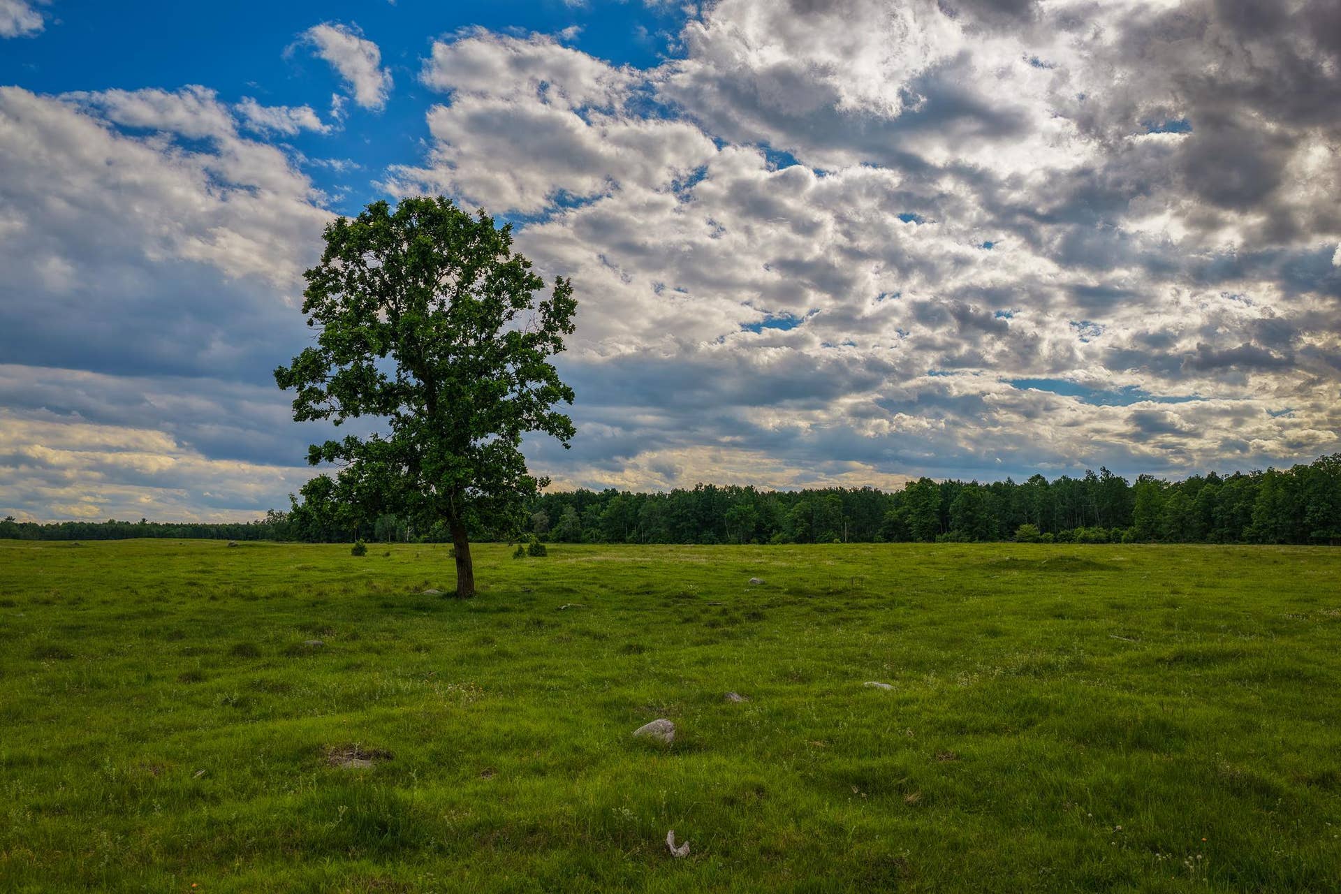 320th 320th, Shevlin, MN 56676 AW_ShevlinAcreage-