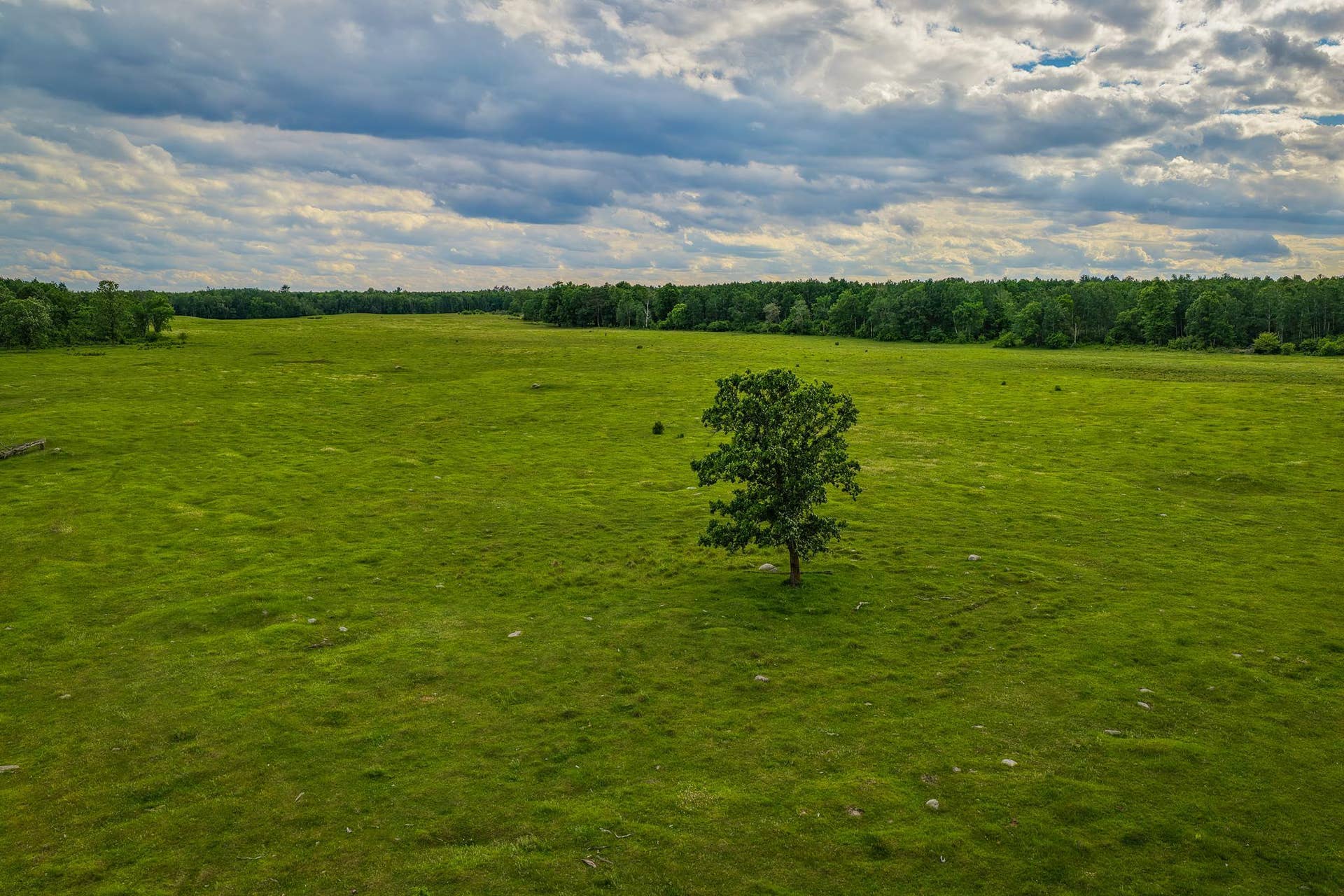 320th 320th, Shevlin, MN 56676 AW_ShevlinAcreage-