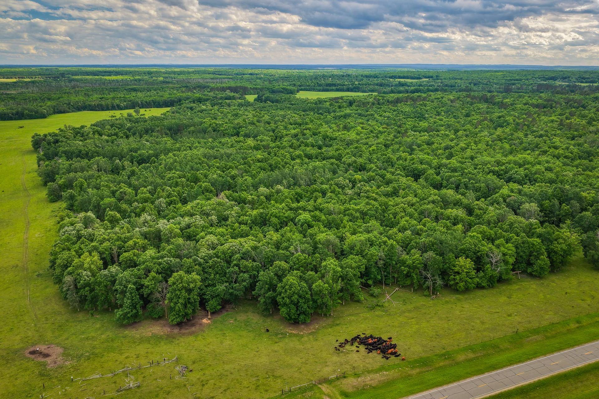 320th 320th, Shevlin, MN 56676 AW_ShevlinAcreage-