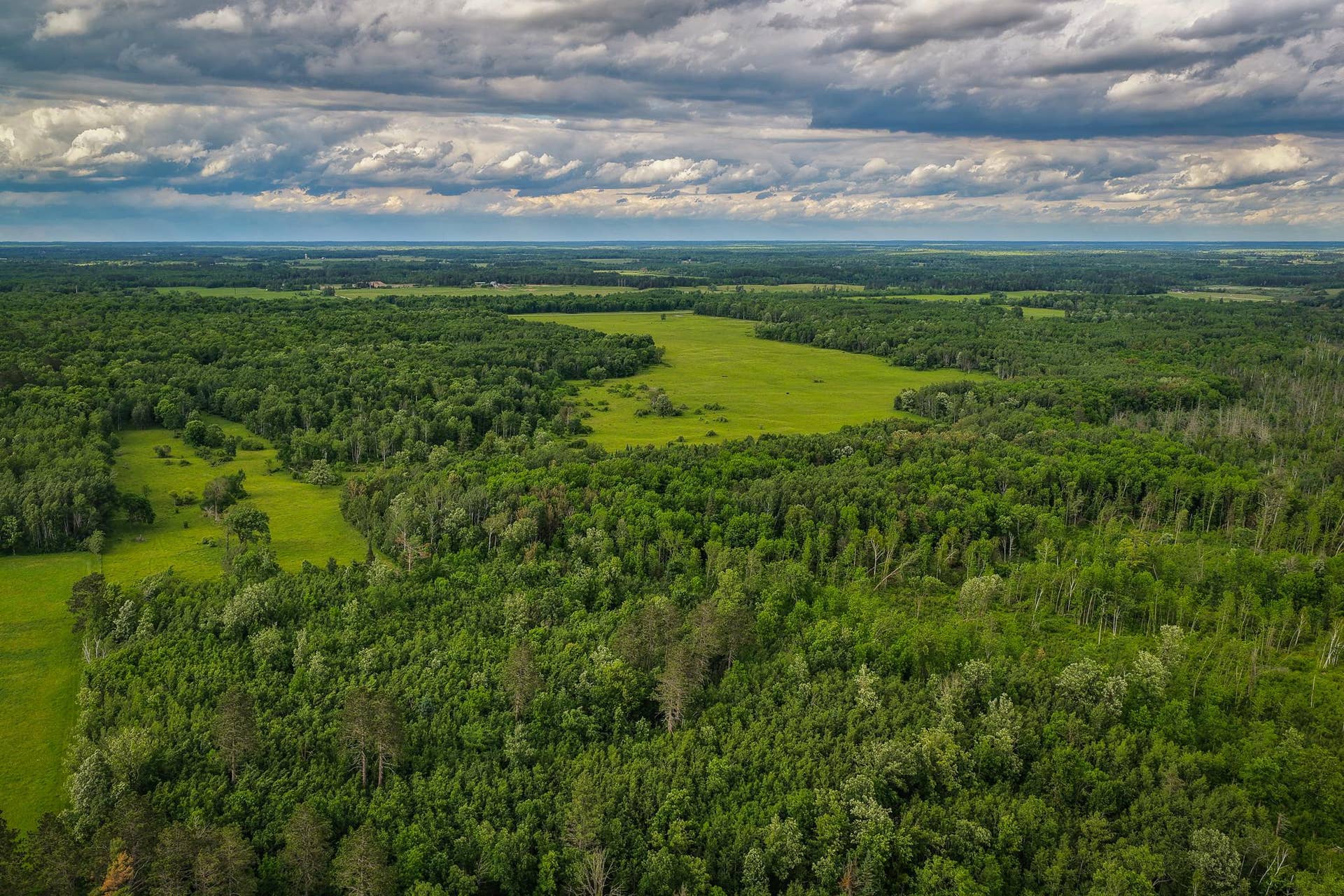 320th 320th, Shevlin, MN 56676 AW_ShevlinAcreage-