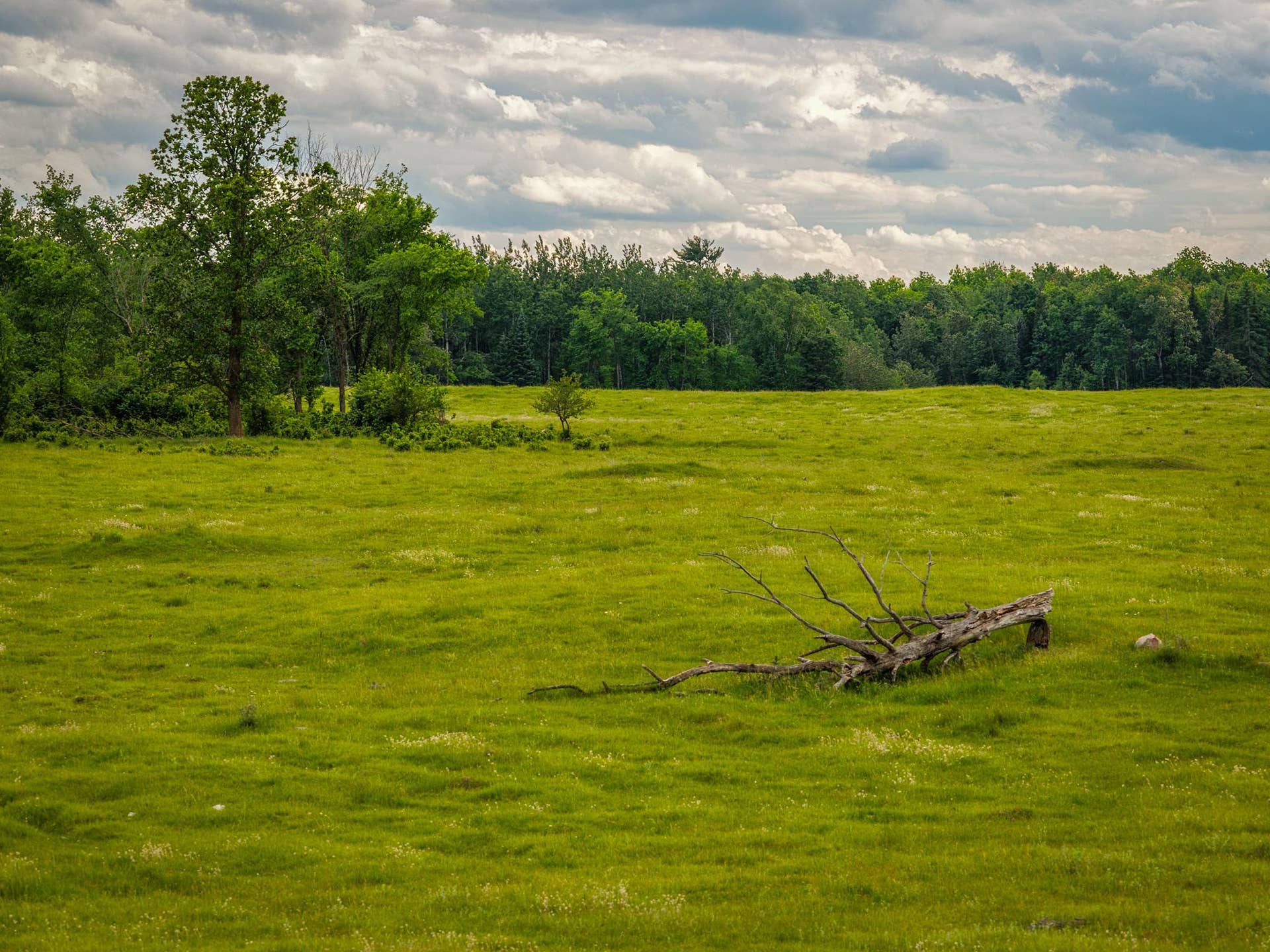 320th 320th, Shevlin, MN 56676 AW_ShevlinAcreage-