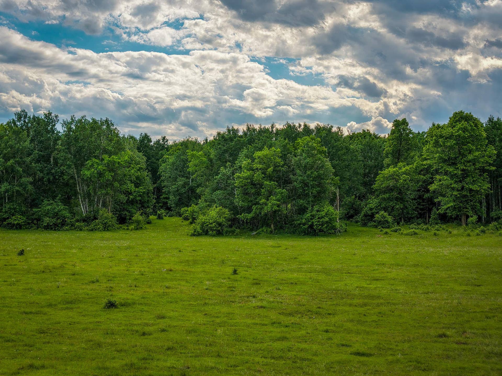 320th 320th, Shevlin, MN 56676 AW_ShevlinAcreage-