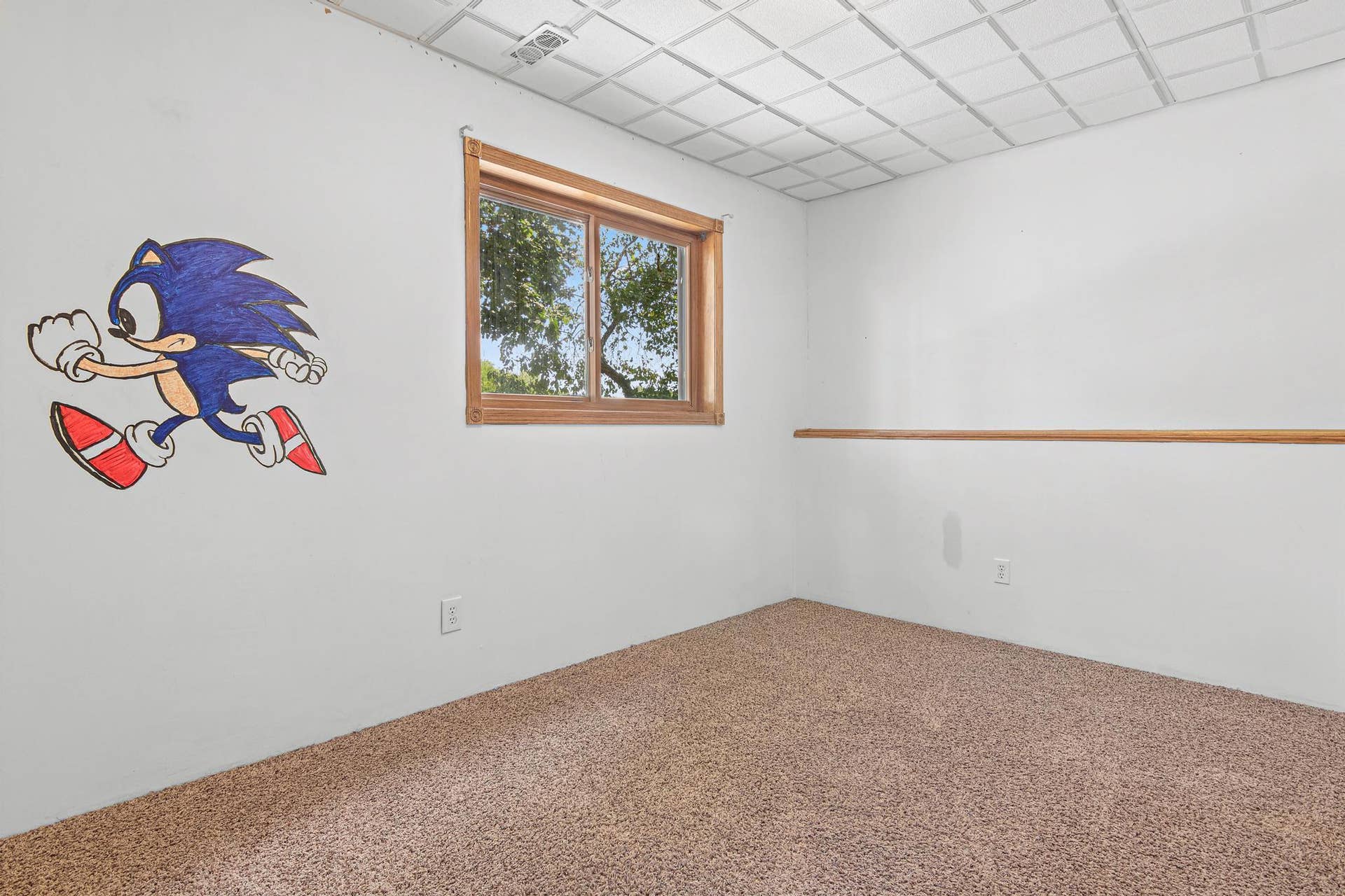 5420 134th Street N, Hugo, MN 55038 5420 134th St N, Hugo, MN-20.jpg