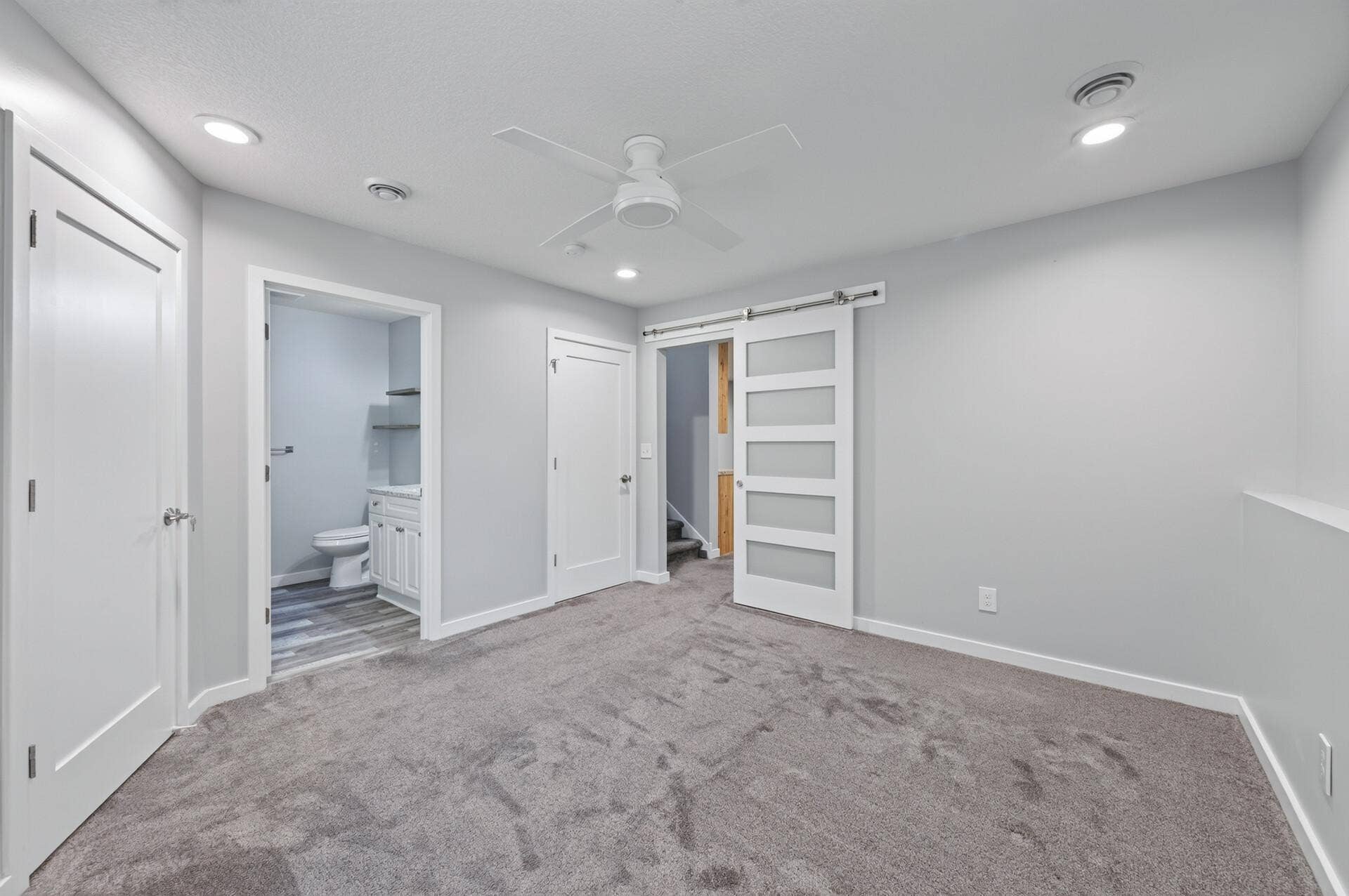 Lower level 4th bedroom