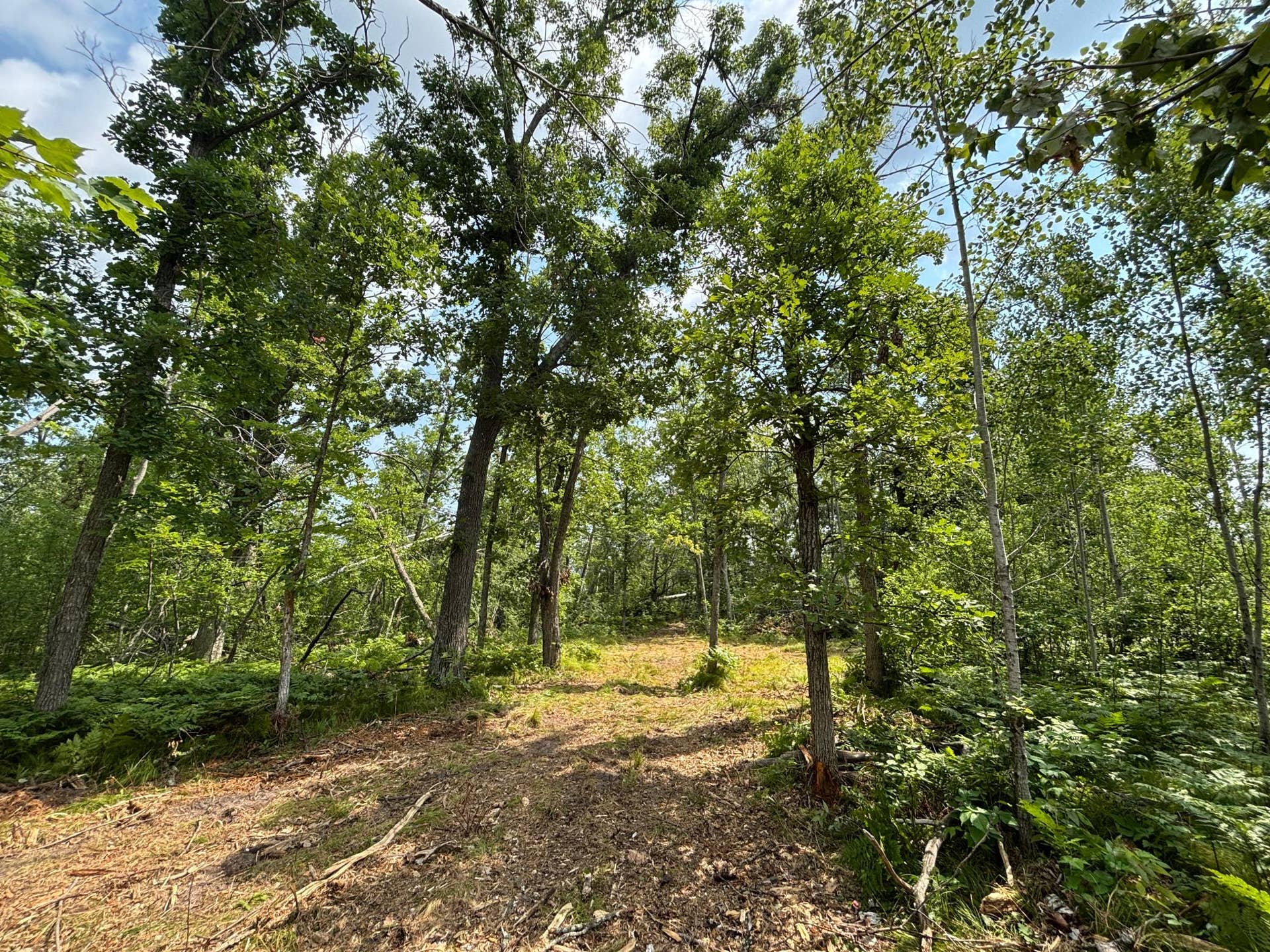 TBD Woodland Hills Drive SE, Bemidji, MN 56601 20260728_172832762_iOS.jpg