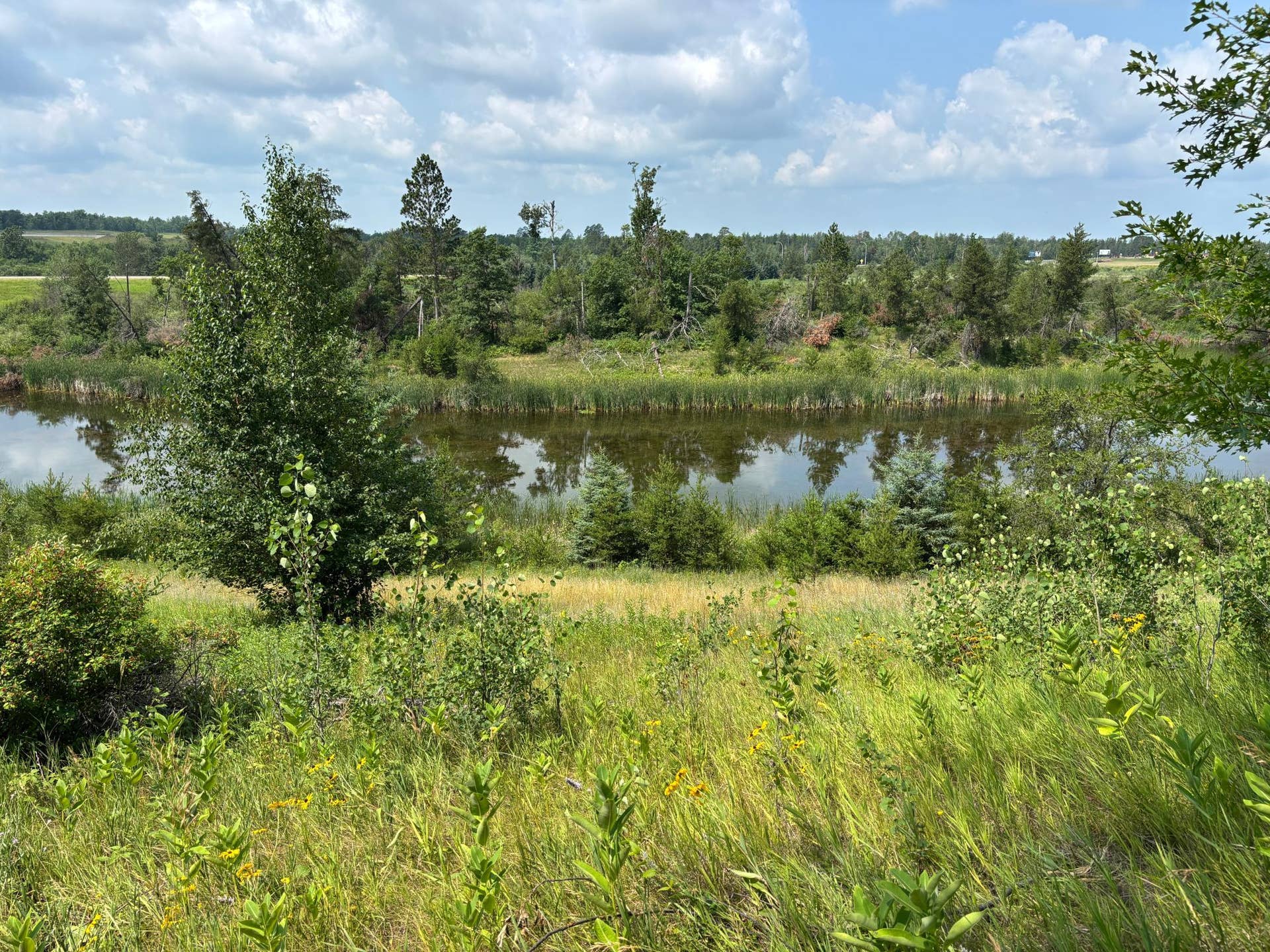 TBD Woodland Hills Drive SE, Bemidji, MN 56601 20260728_171301150_iOS.jpg