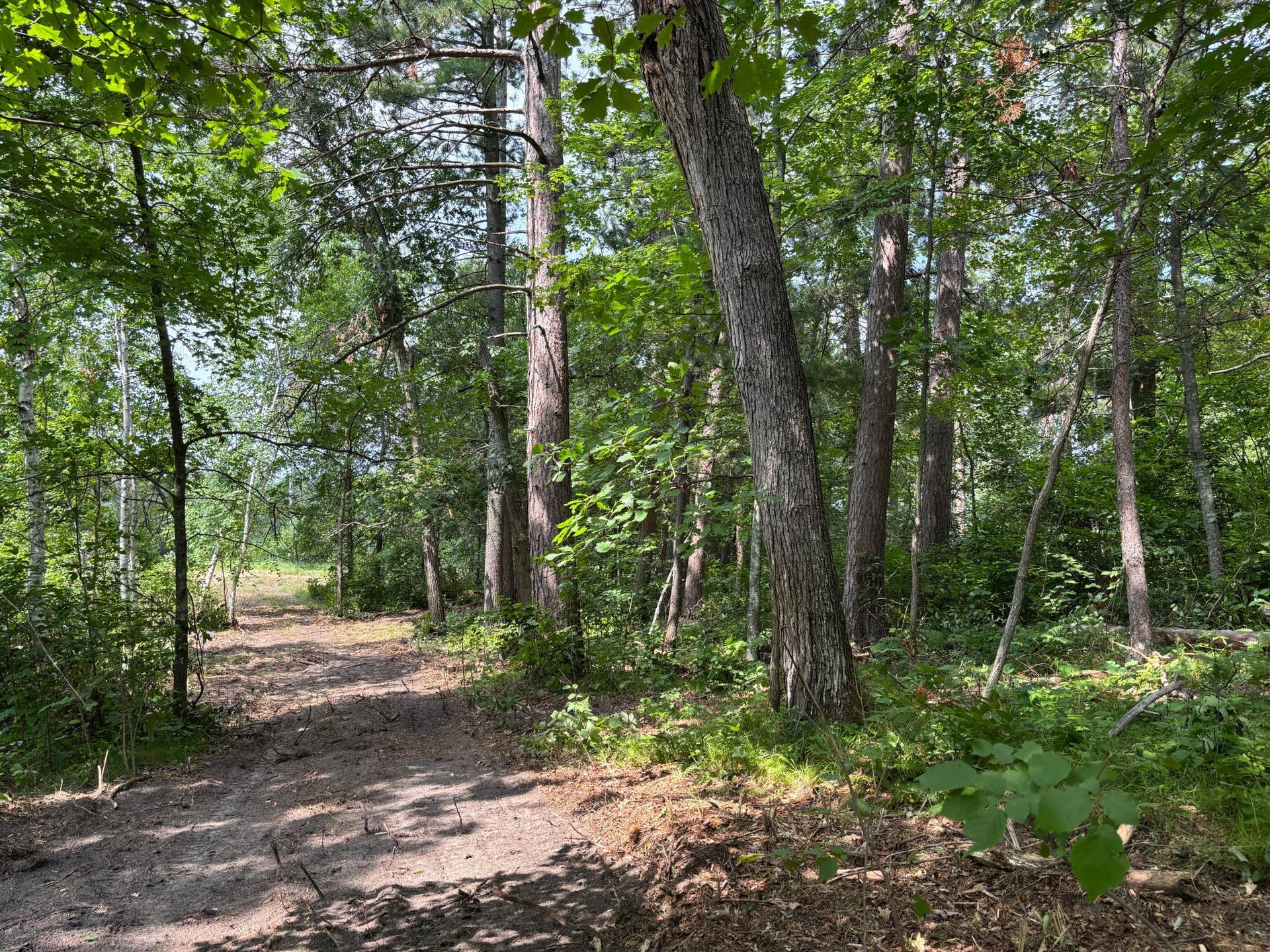 TBD Woodland Hills Drive SE, Bemidji, MN 56601 20260728_172503483_iOS.jpg