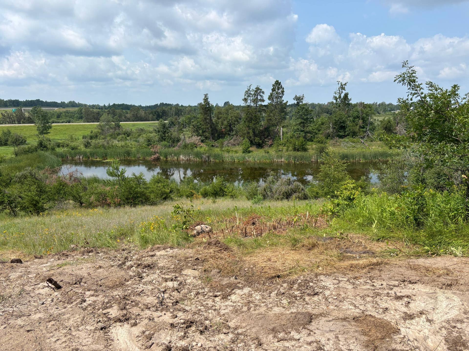 TBD Woodland Hills Drive SE, Bemidji, MN 56601 20260728_171047878_iOS.jpg