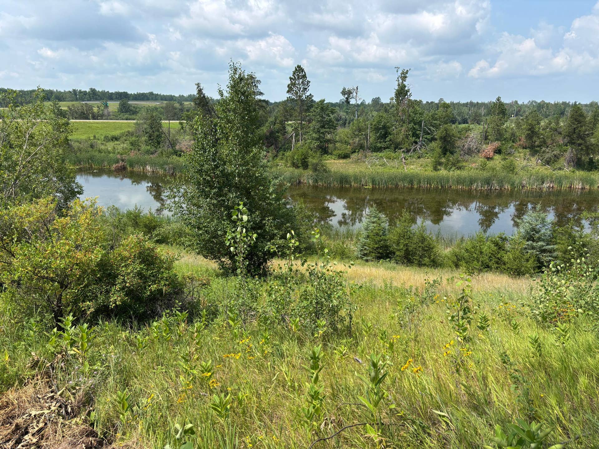 TBD Woodland Hills Drive SE, Bemidji, MN 56601 20260728_171259180_iOS.jpg