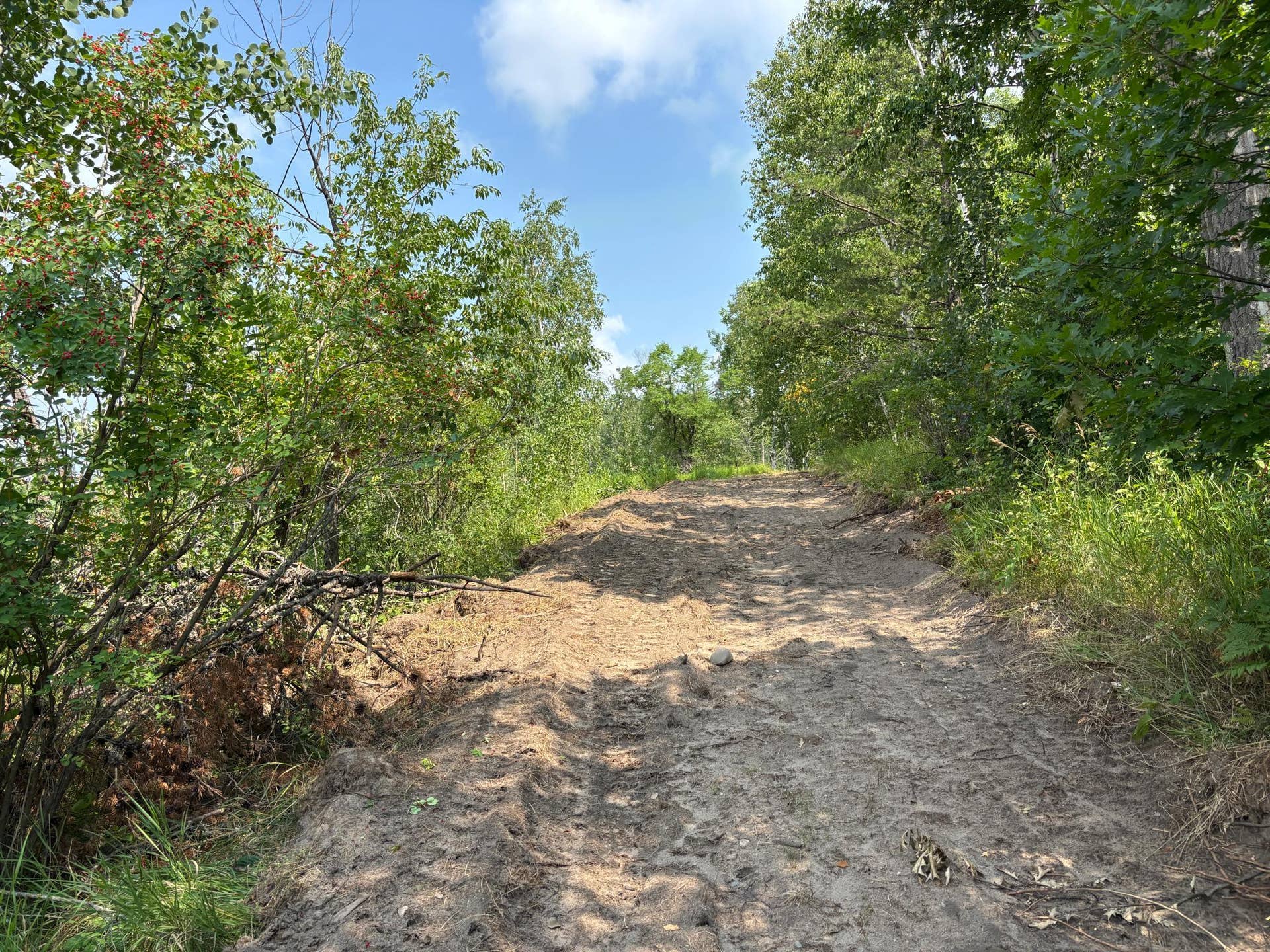 TBD Woodland Hills Drive SE, Bemidji, MN 56601 20260728_171310487_iOS.jpg