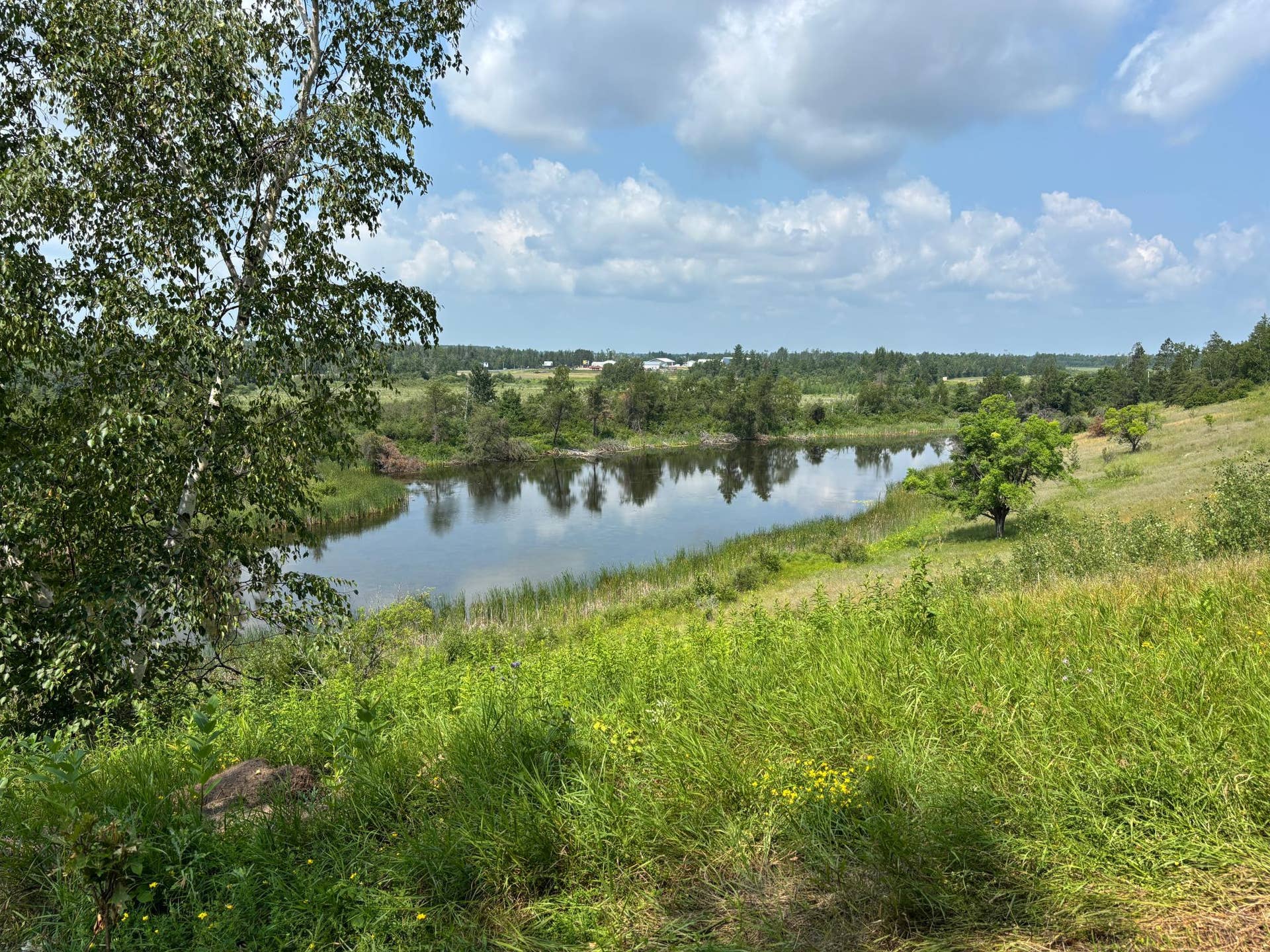 TBD Woodland Hills Drive SE, Bemidji, MN 56601 20260728_171406357_iOS.jpg