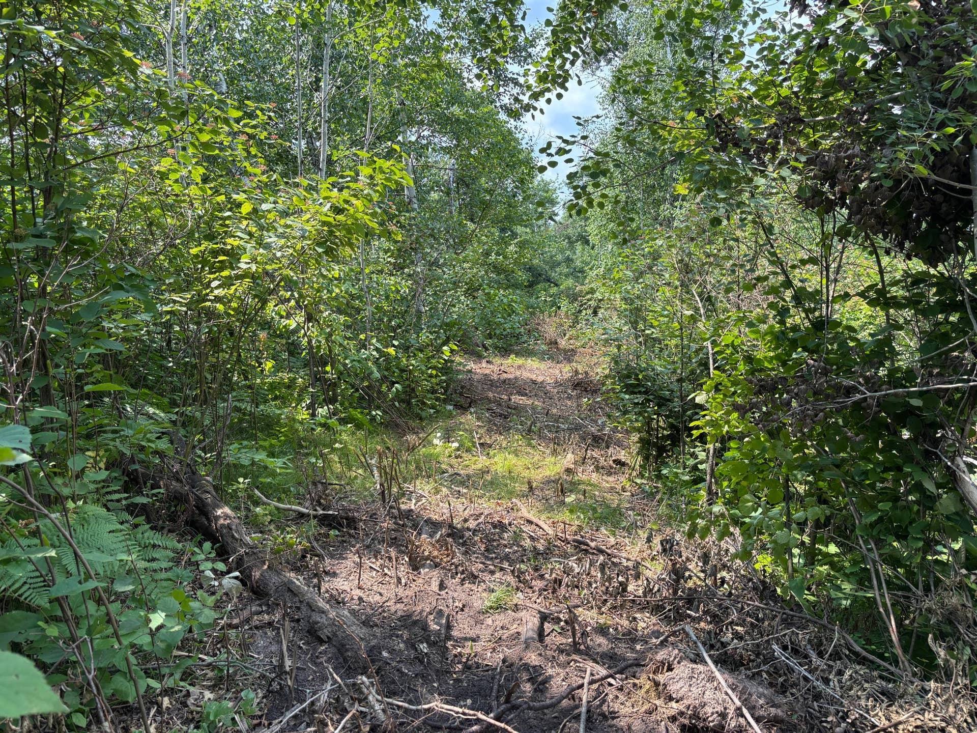 TBD Woodland Hills Drive SE, Bemidji, MN 56601 20260728_170856445_iOS.jpg