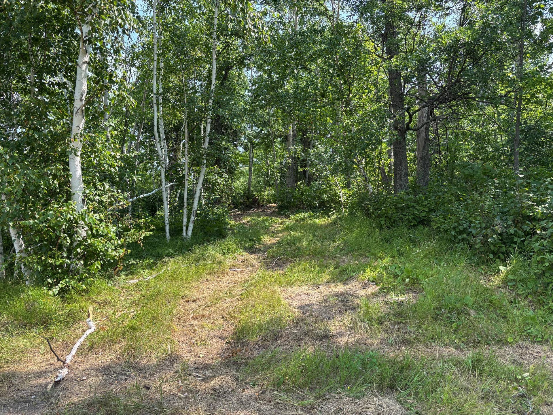 TBD Woodland Hills Drive SE, Bemidji, MN 56601 20260728_171642716_iOS.jpg