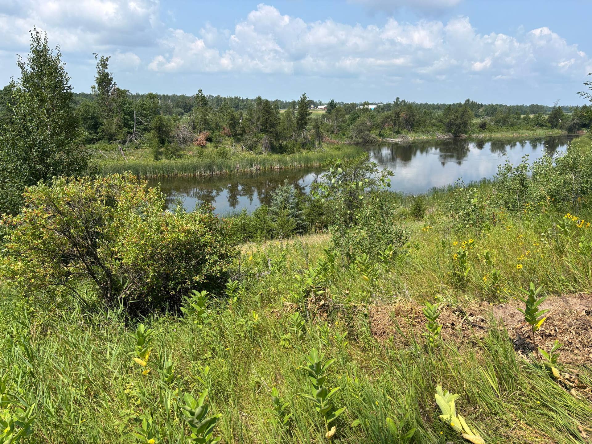 TBD Woodland Hills Drive SE, Bemidji, MN 56601 20260728_171238376_iOS.jpg