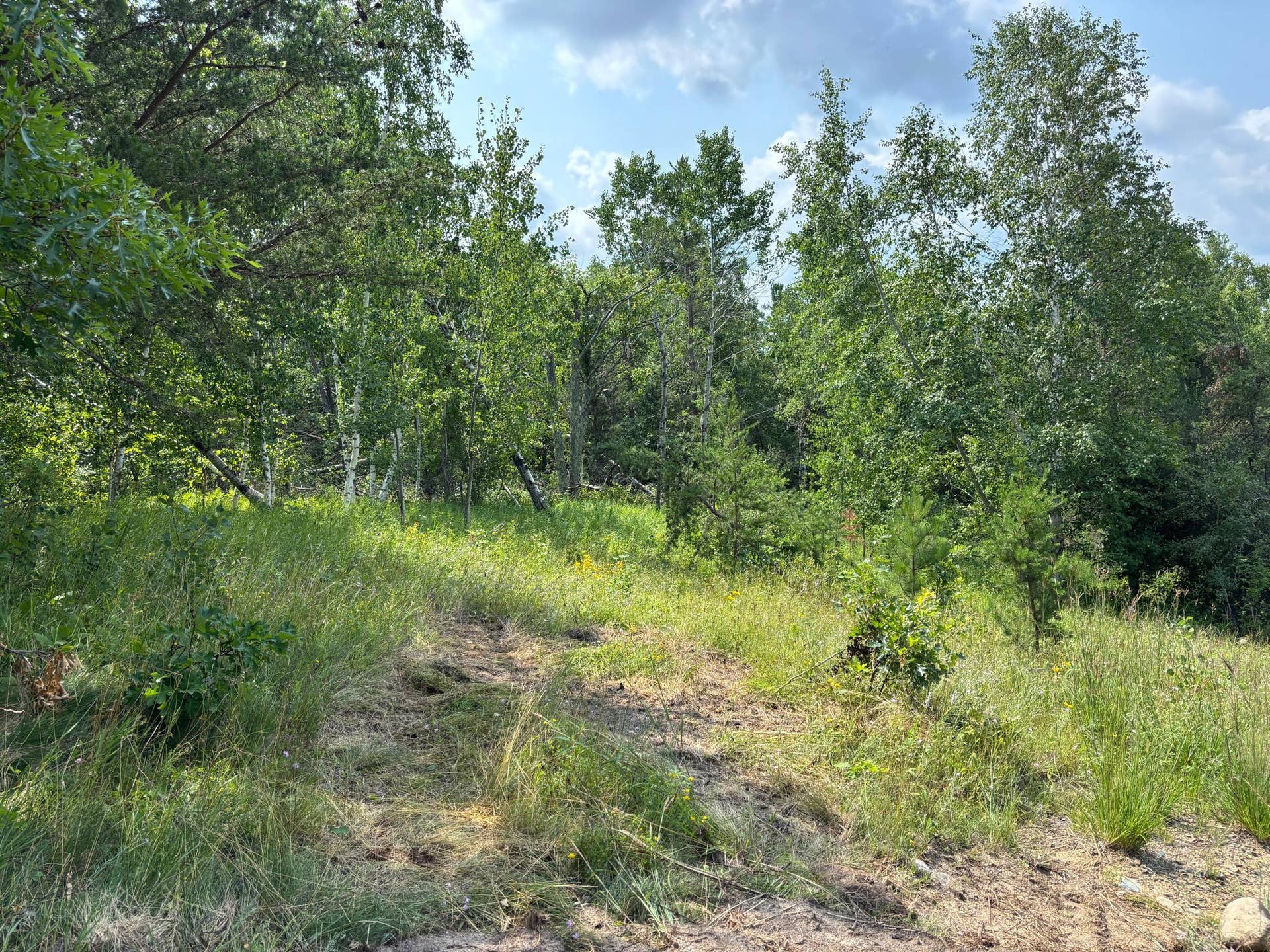 TBD Woodland Hills Drive SE, Bemidji, MN 56601 20260728_171041801_iOS.jpg