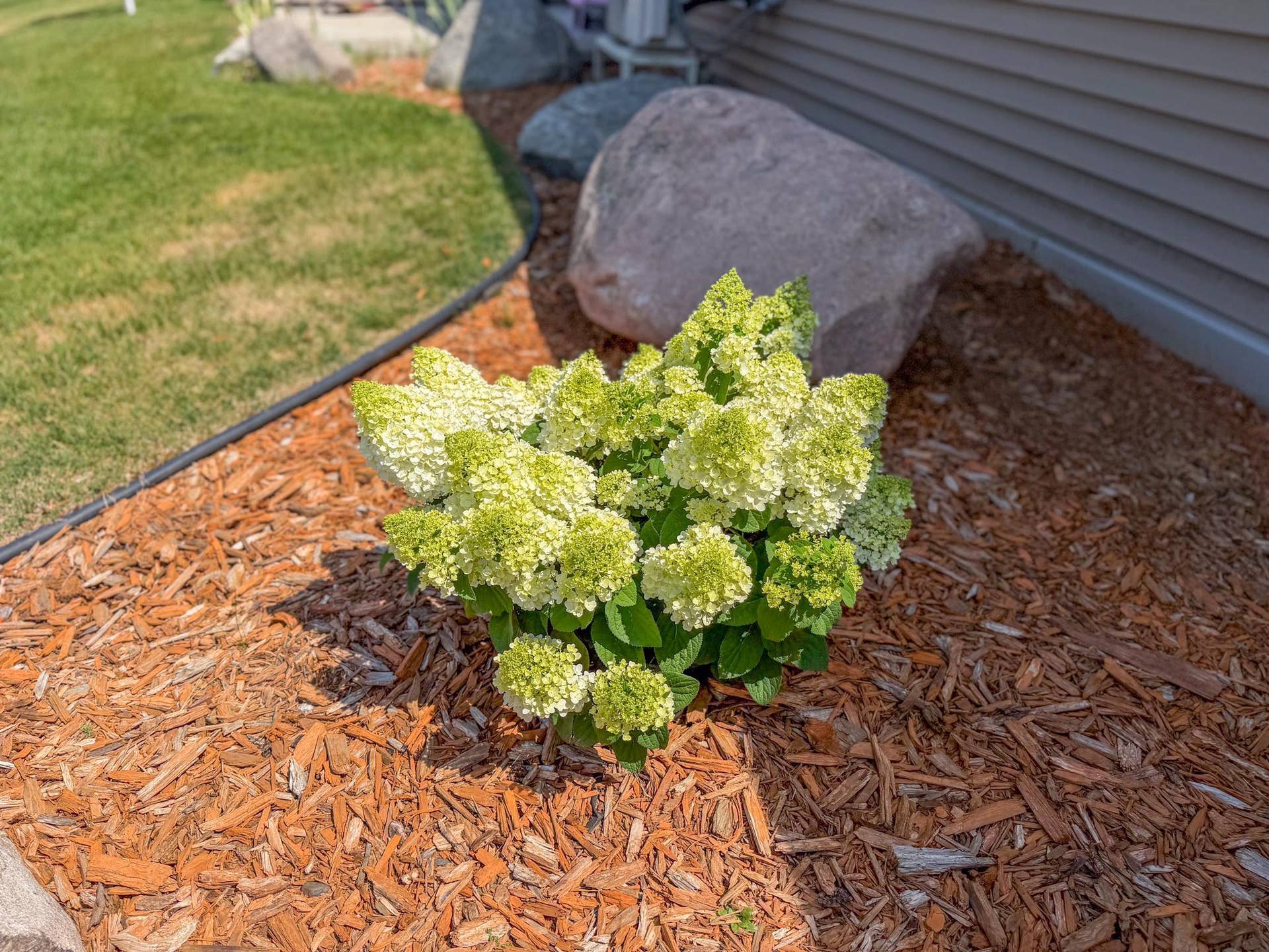 1615 30th Street NW, #29, Bemidji, MN 56601 1615 30th ST #30-32.jpg