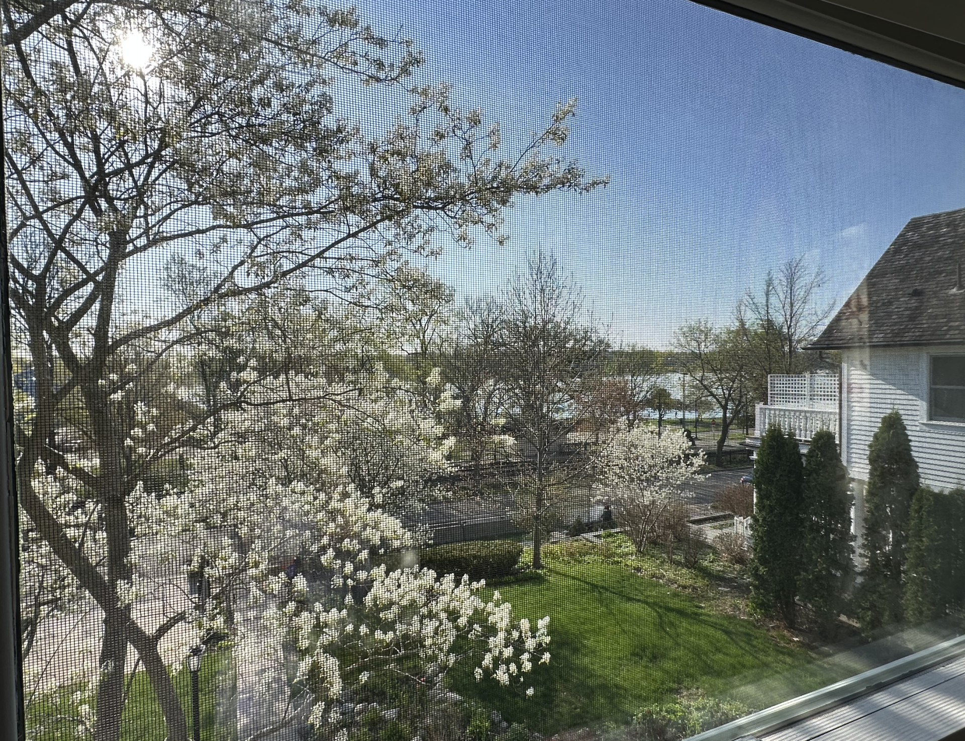 4120 Queen Avenue S, 42, Minneapolis, MN 55410 View from the sunroom in the spring!