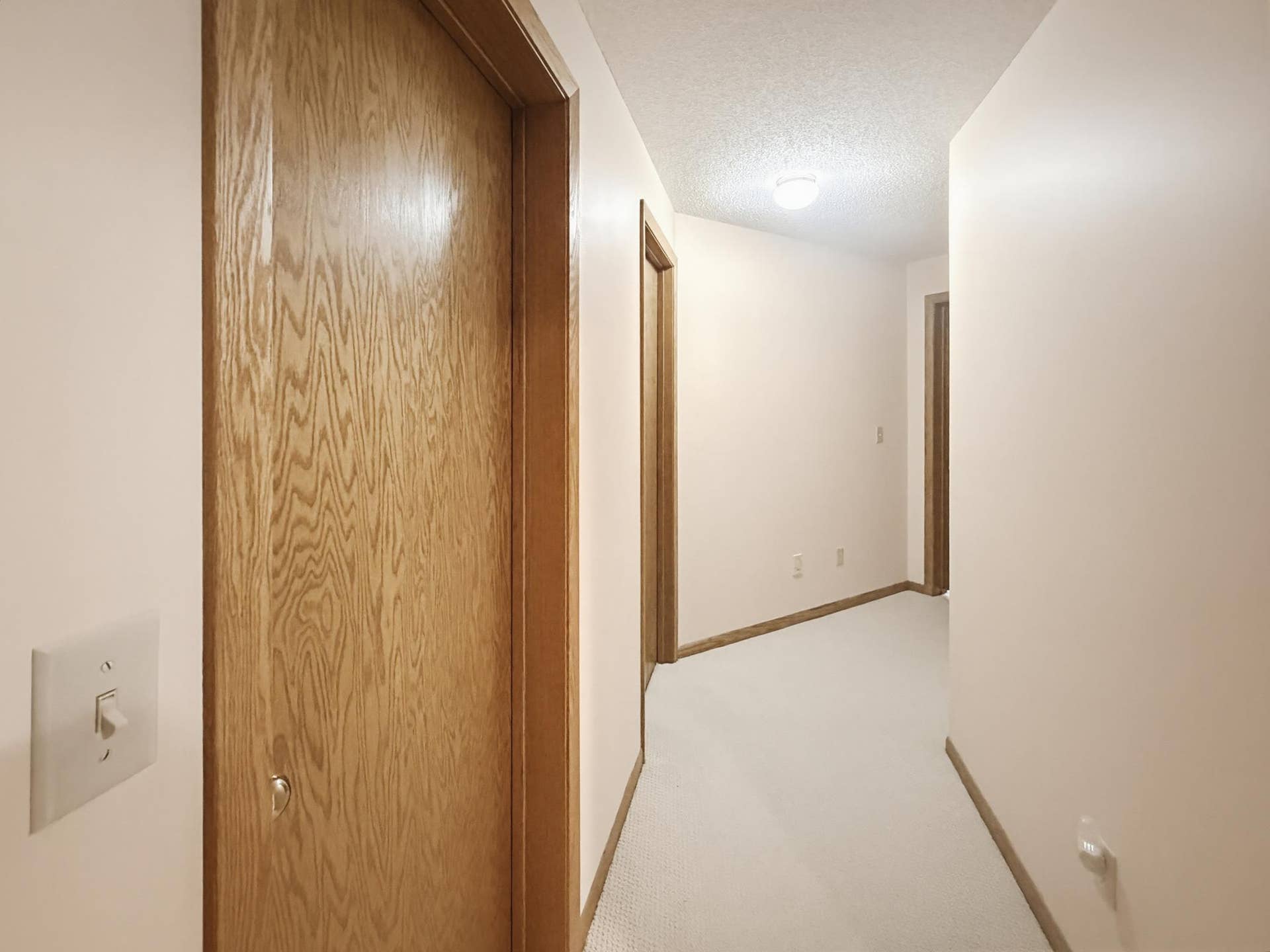 8992 Hidden Meadow Road, Woodbury, MN 55125 IMG_4521.jpg