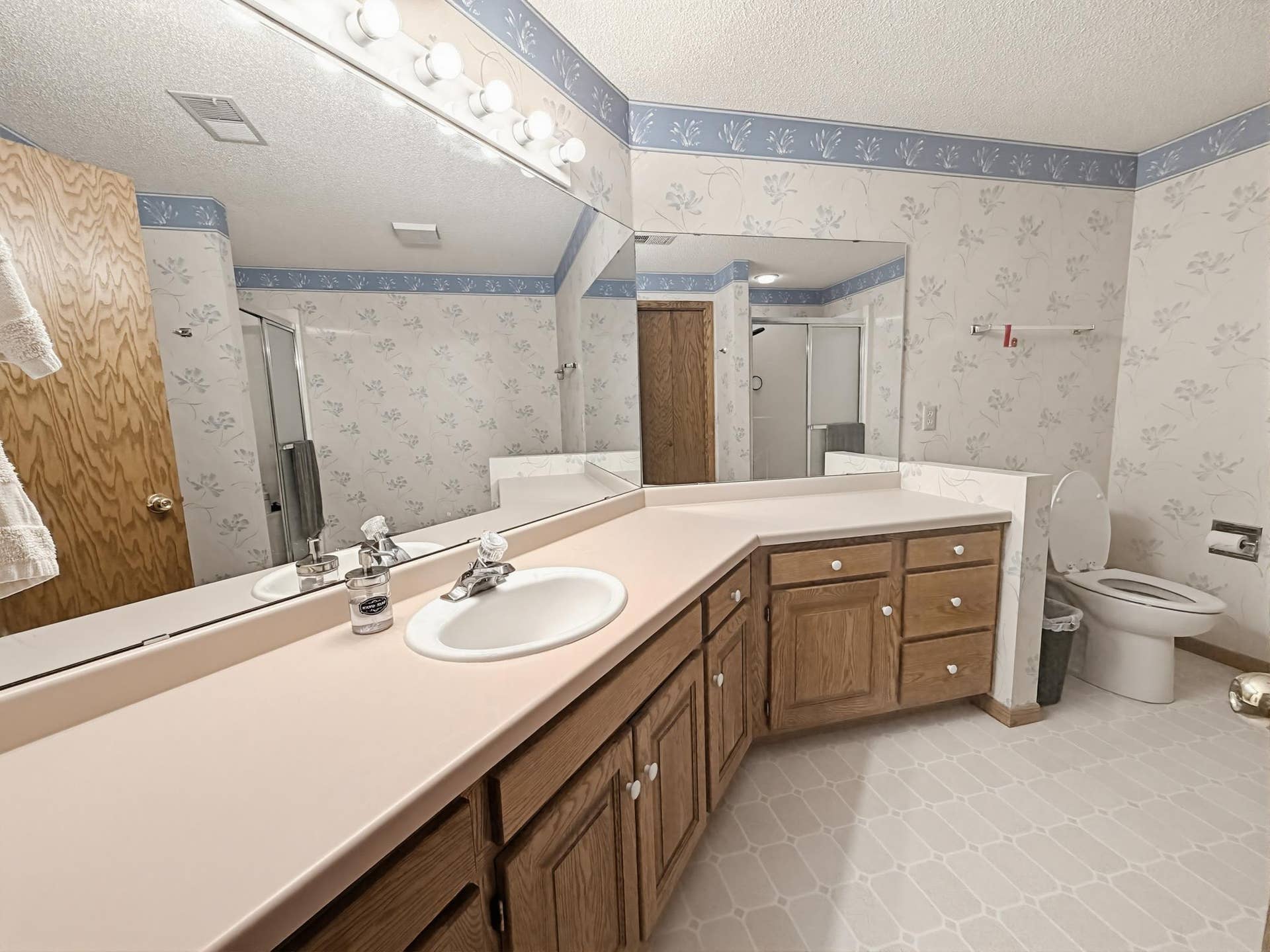 8992 Hidden Meadow Road, Woodbury, MN 55125 IMG_4516.jpg