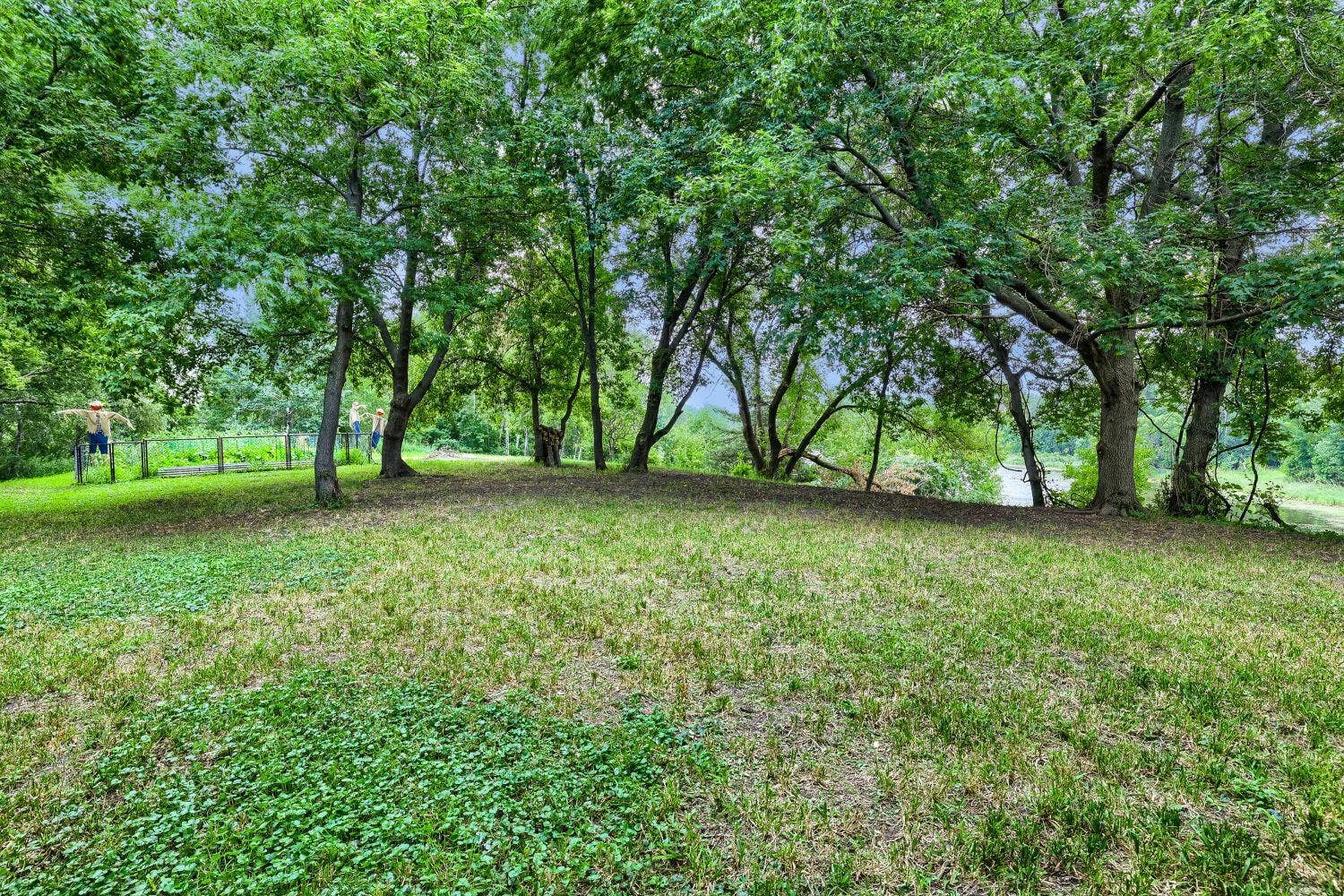 11959 Imperial Avenue N, Hugo, MN 55038 88 Backyard.jpg