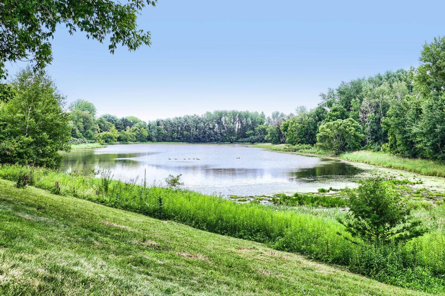 11959 Imperial Avenue N, Hugo, MN 55038 89 Backyard.jpg