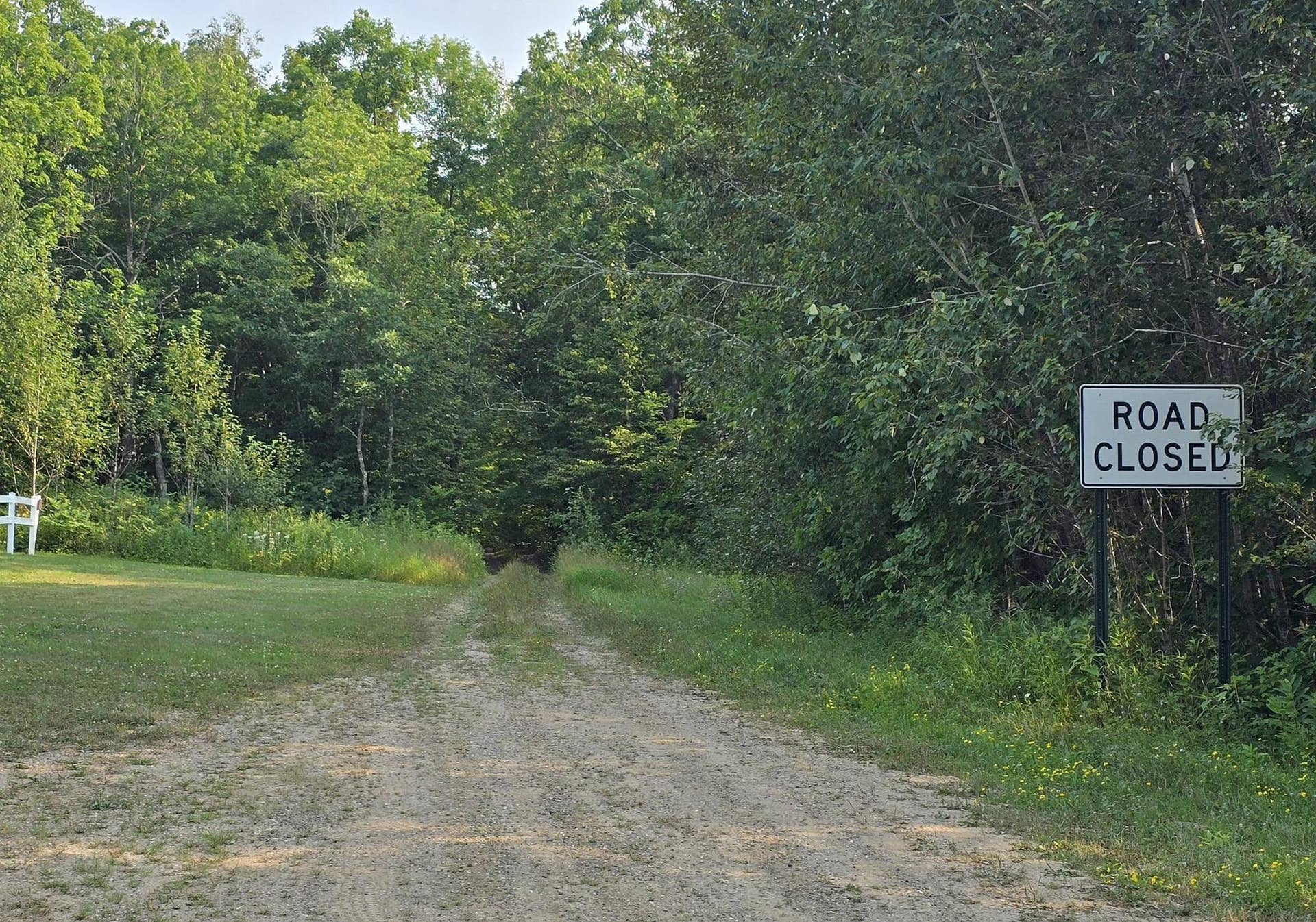 TBD 219th Avenue, Bemidji, MN 56601 road down the east property line.jpg