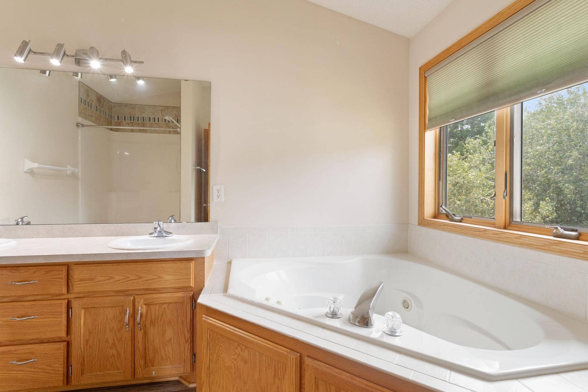 10049 Butternut Court N, Brooklyn Park, MN 55443 22 Primary bath.jpg
