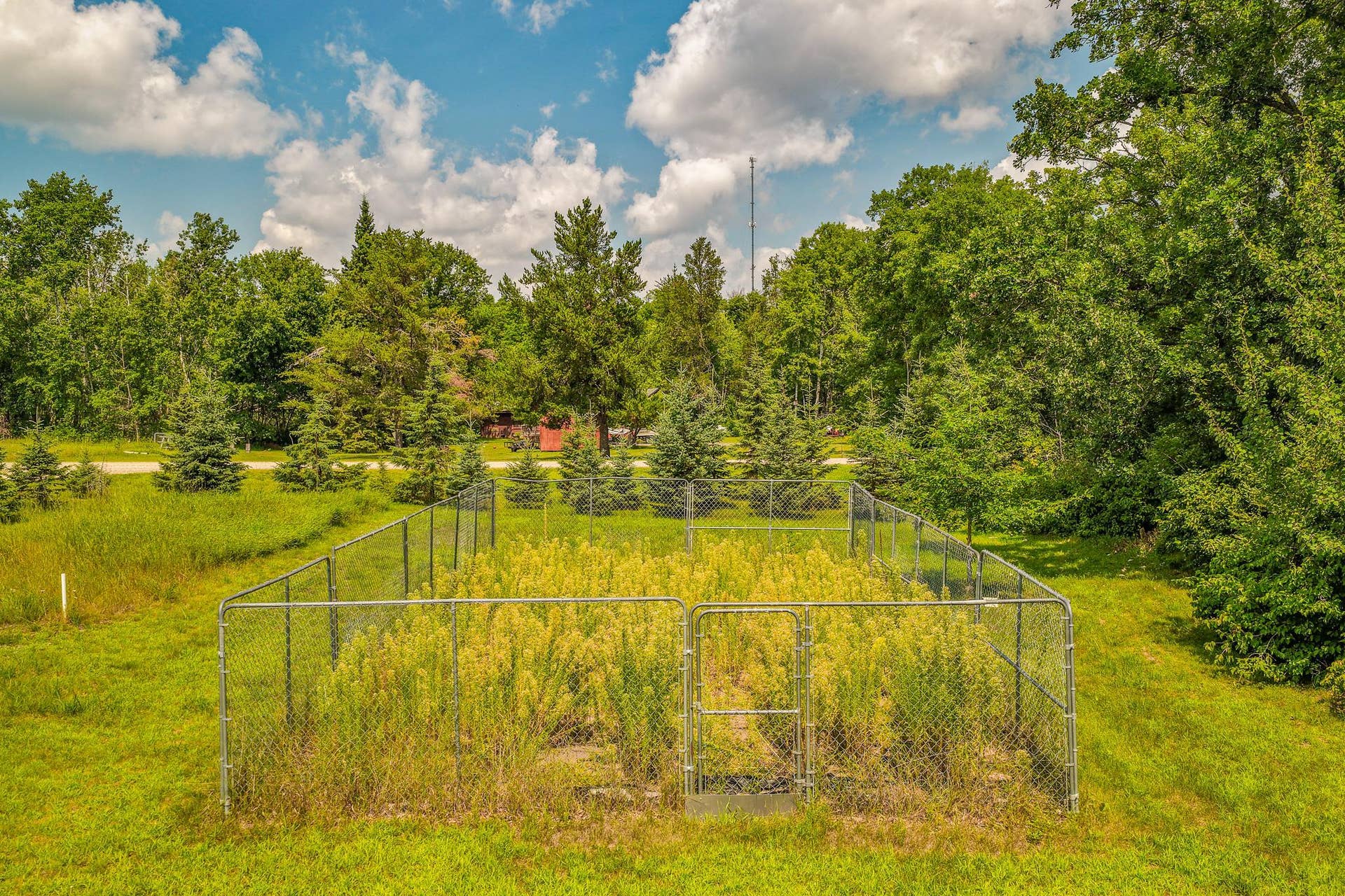 5252 Elmwood Court NE, Bemidji, MN 56601 Fenced-in area