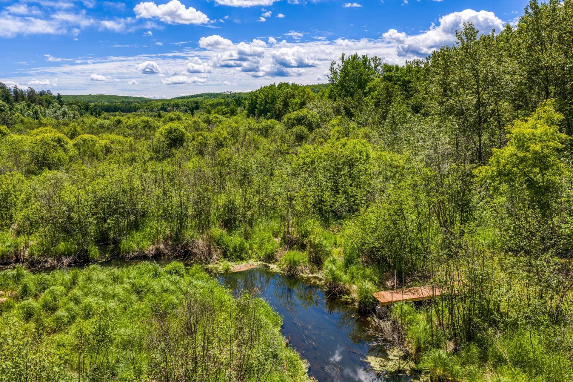 39332 Orchid Trail, Bemidji, MN 56461 DJI_20260622125739_0259_D (1).jpg