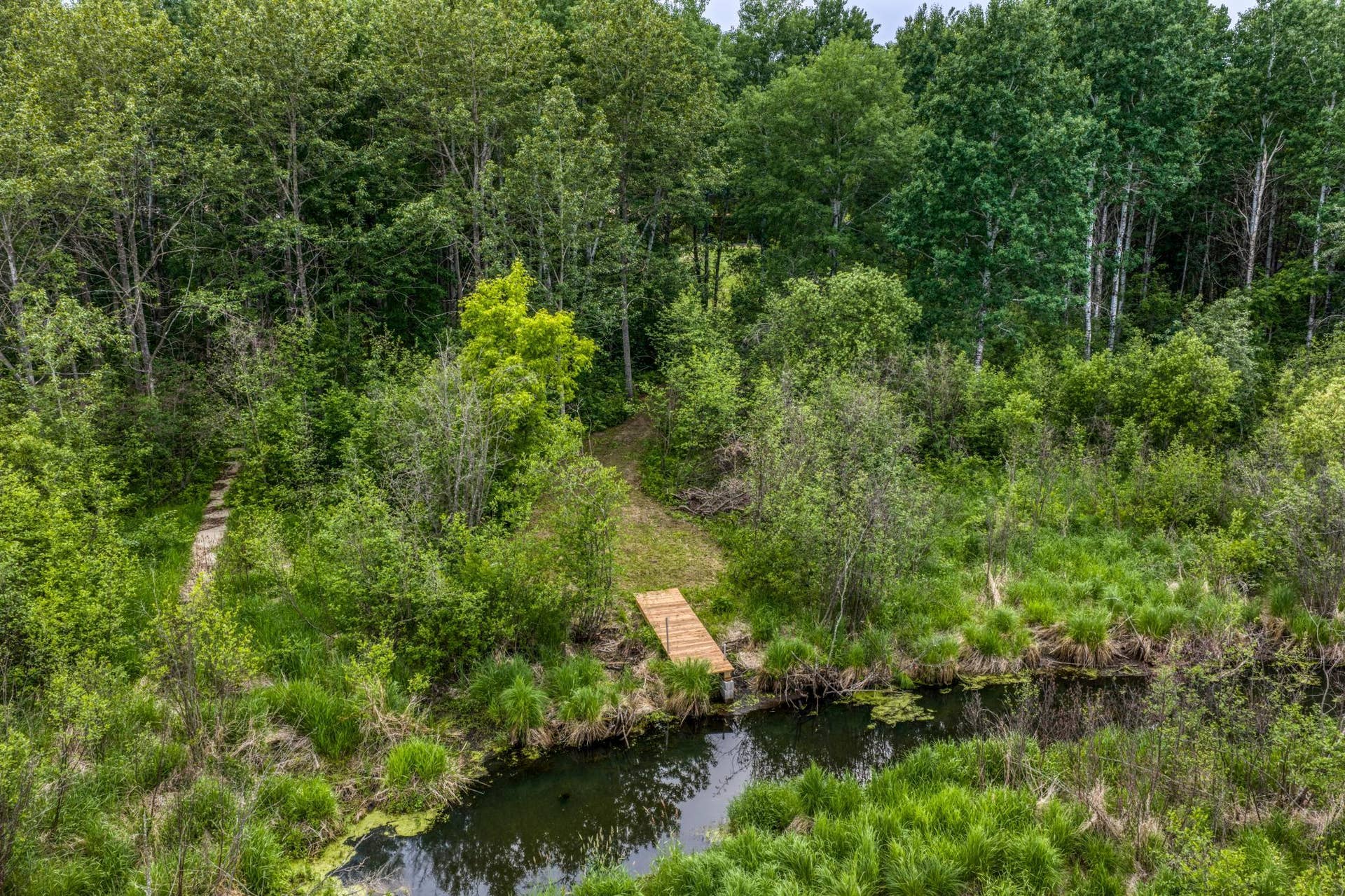 39332 Orchid Trail, Bemidji, MN 56461 DJI_20260616175540_0588_D (1).jpg