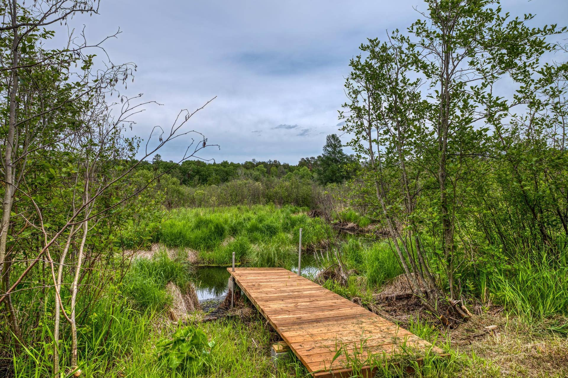 39332 Orchid Trail, Bemidji, MN 56461 PANA9150 (1).jpg