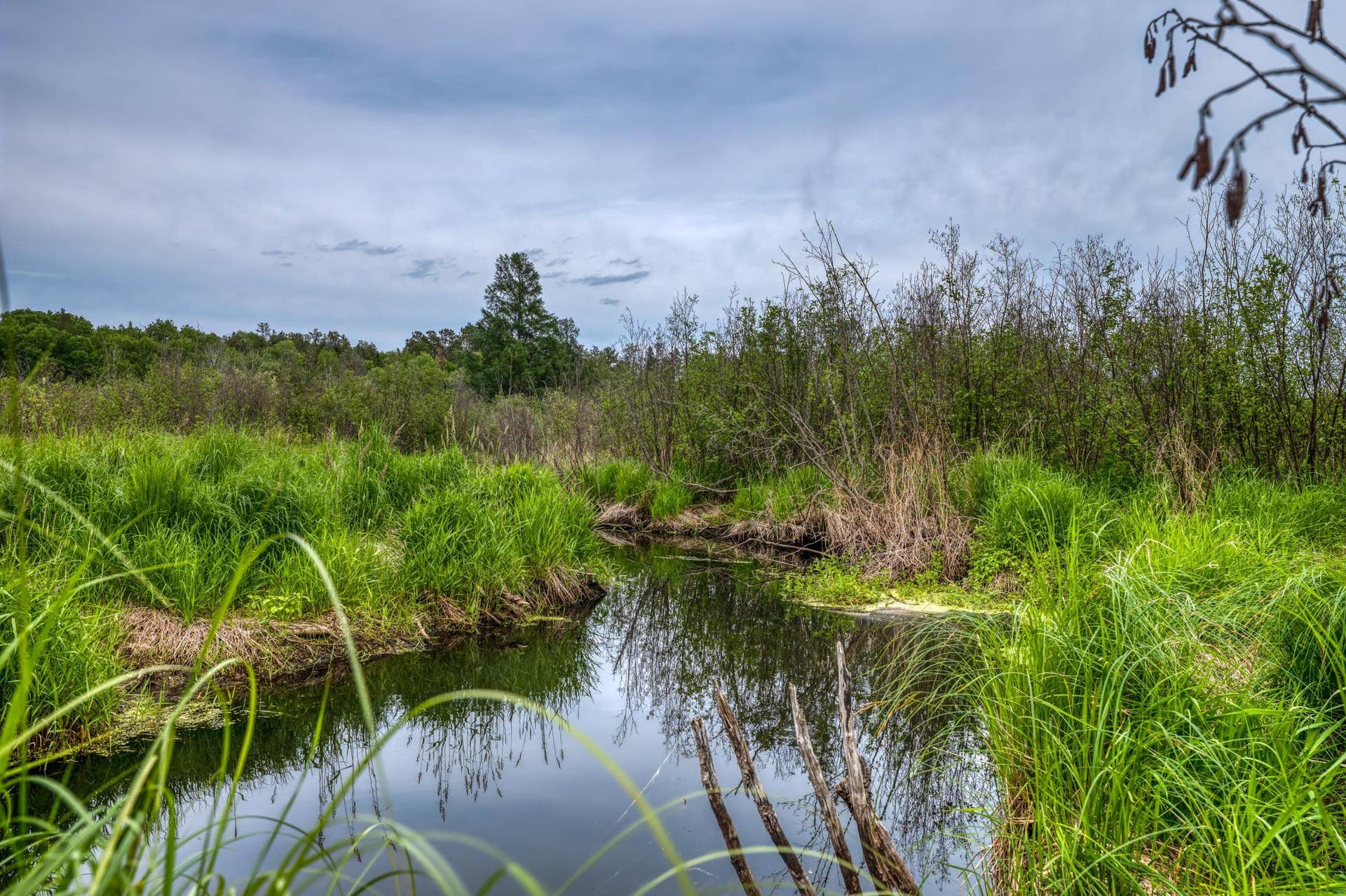39332 Orchid Trail, Bemidji, MN 56461 PANA9161.jpg