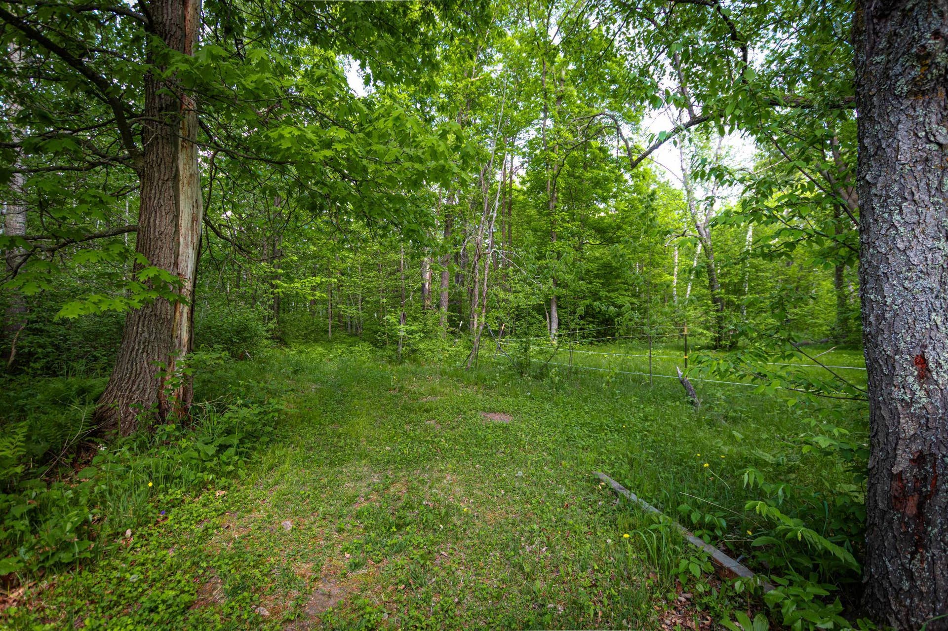 43522 US 71, Bemidji, MN 56461 IMG_6932.jpg