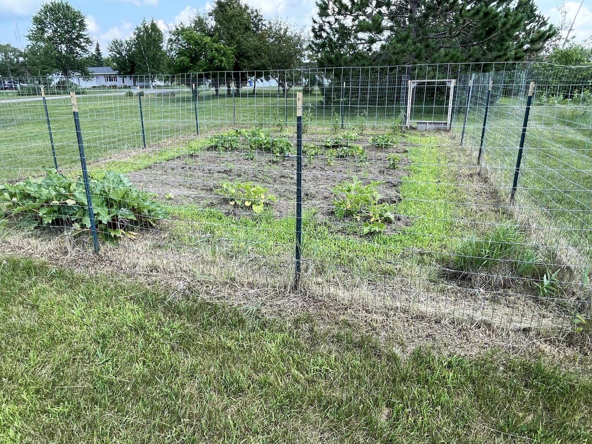 121 Merle Court NE, Bemidji, MN 56601 Garden 2.jpeg