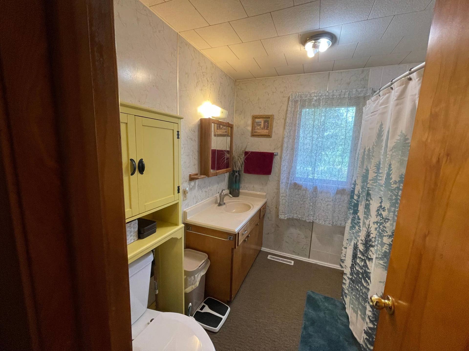 1723 Scenic Highway NE, Pennington, MN 56663 1723 10.jpeg