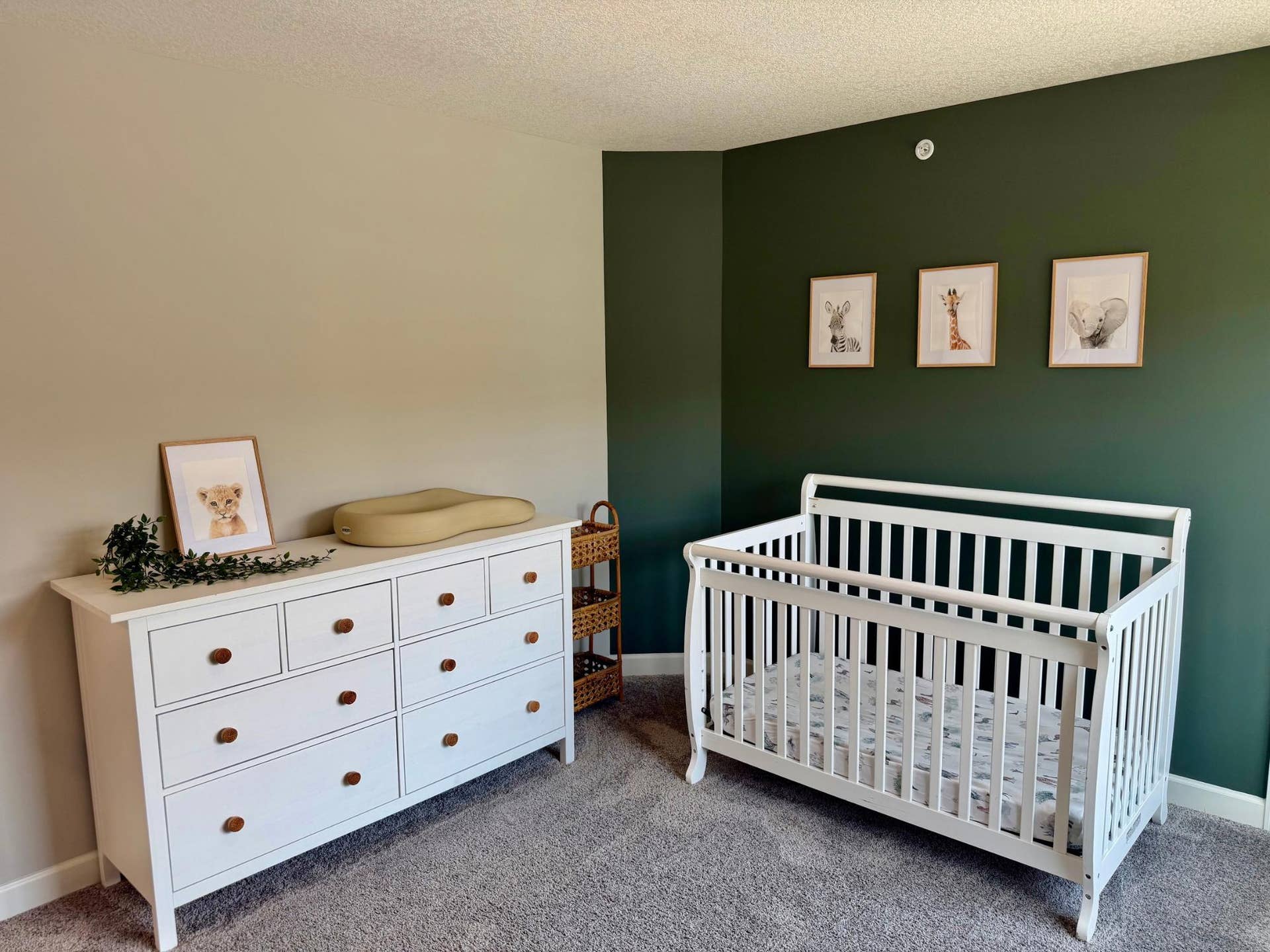 2172 Jasper Court, Hugo, MN 55038 Untitled design 30.JPG