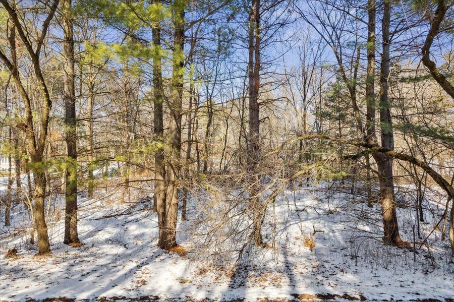 Property photo for XXX 89th St. N., Grant, MN