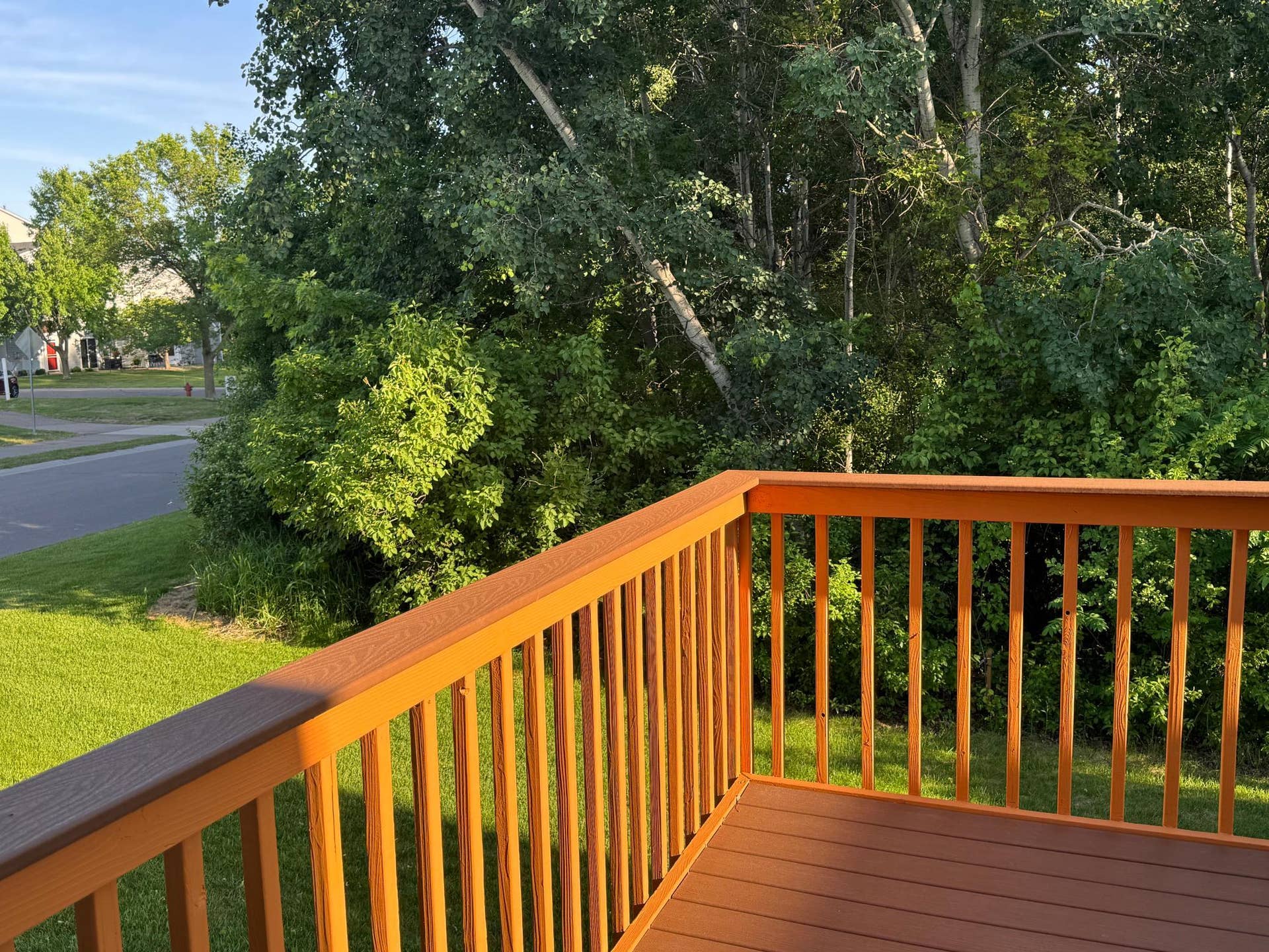 474 Bluebird Lane, Woodbury, MN 55125 IMG_6893.jpeg