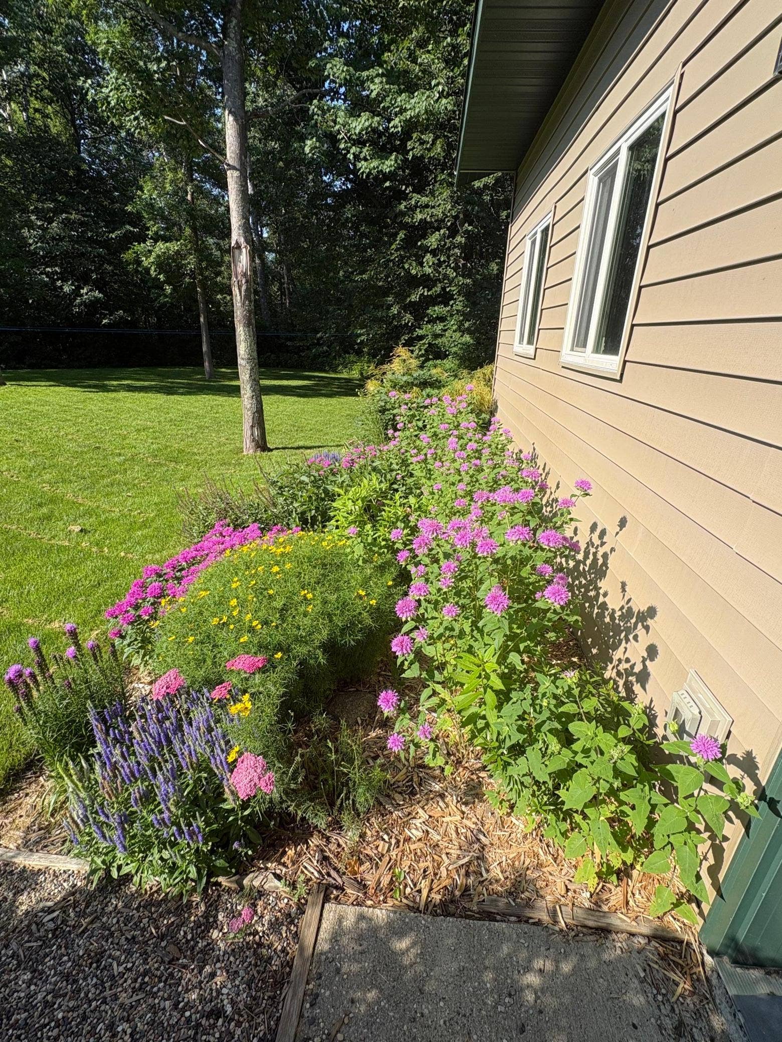 3914 Alder Street NE, Bemidji, MN 56601 Perennials