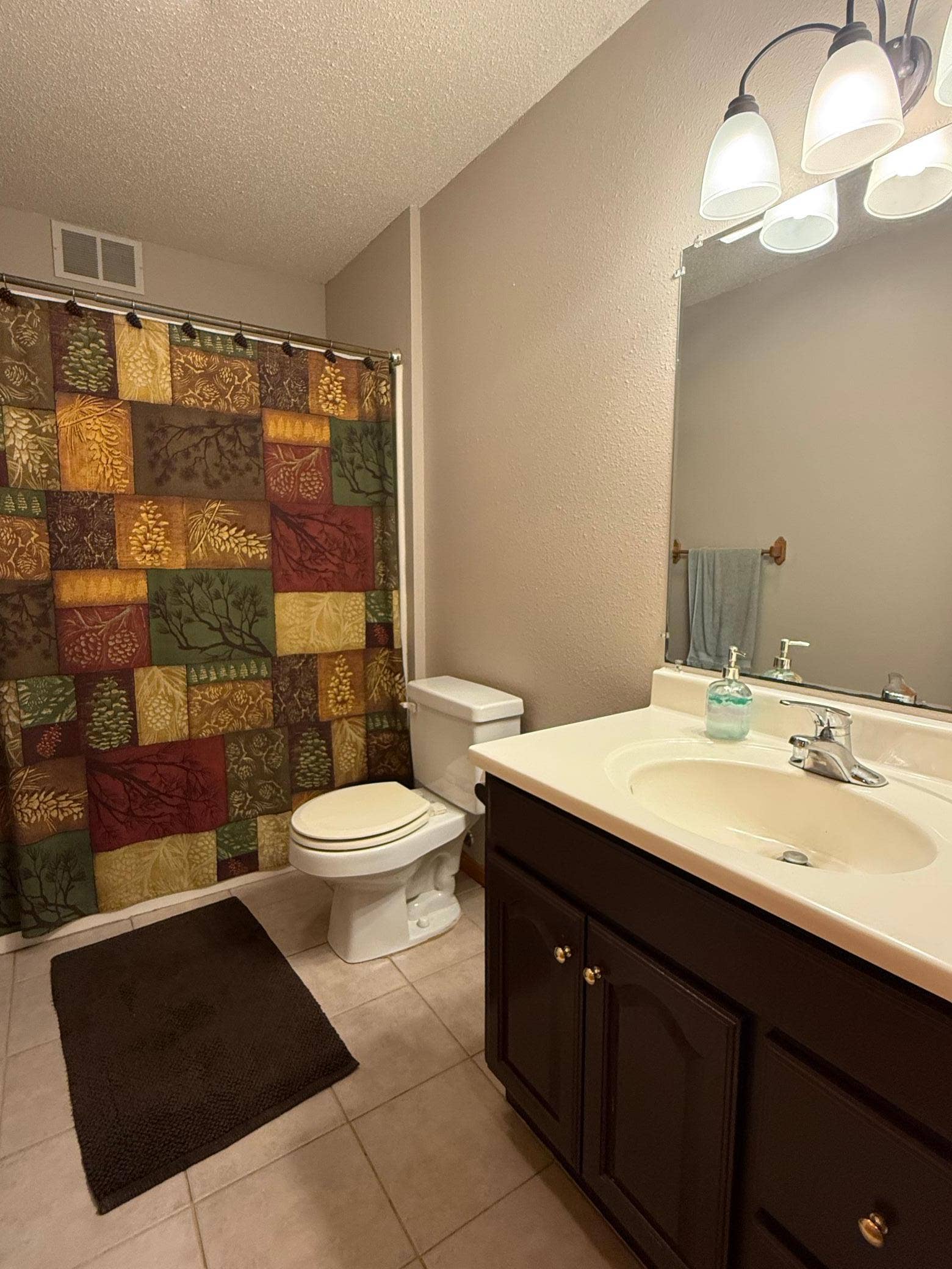 3914 Alder Street NE, Bemidji, MN 56601 Main bathroom