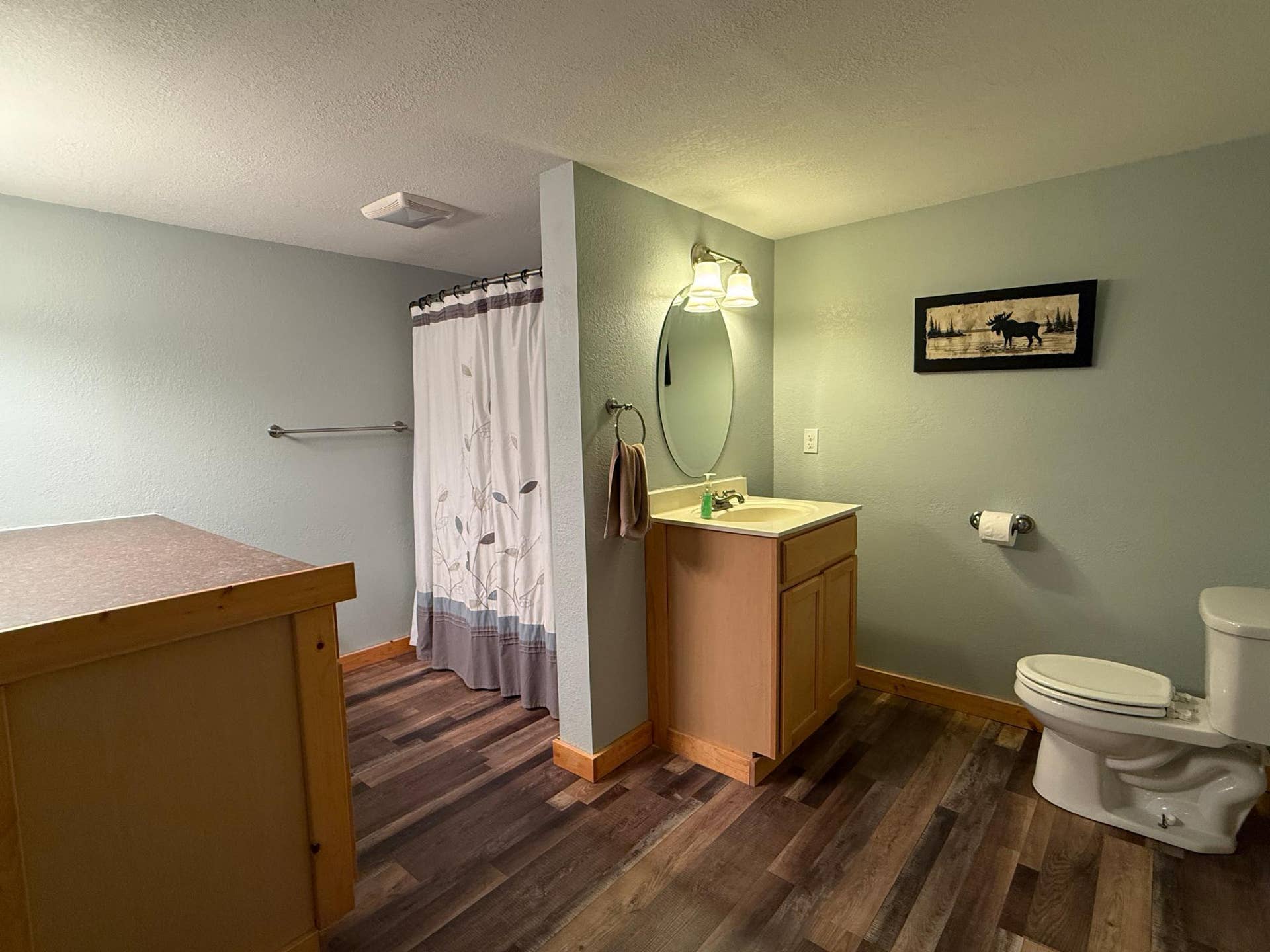 3914 Alder Street NE, Bemidji, MN 56601 Lower level bathroom