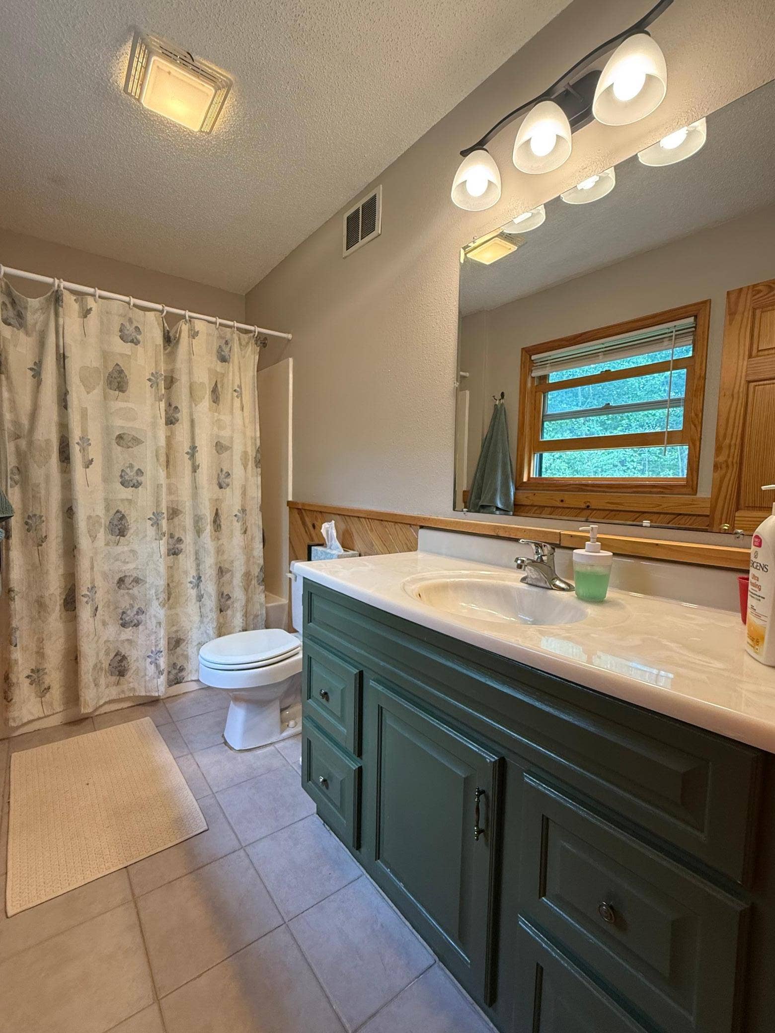3914 Alder Street NE, Bemidji, MN 56601 Primary bathroom