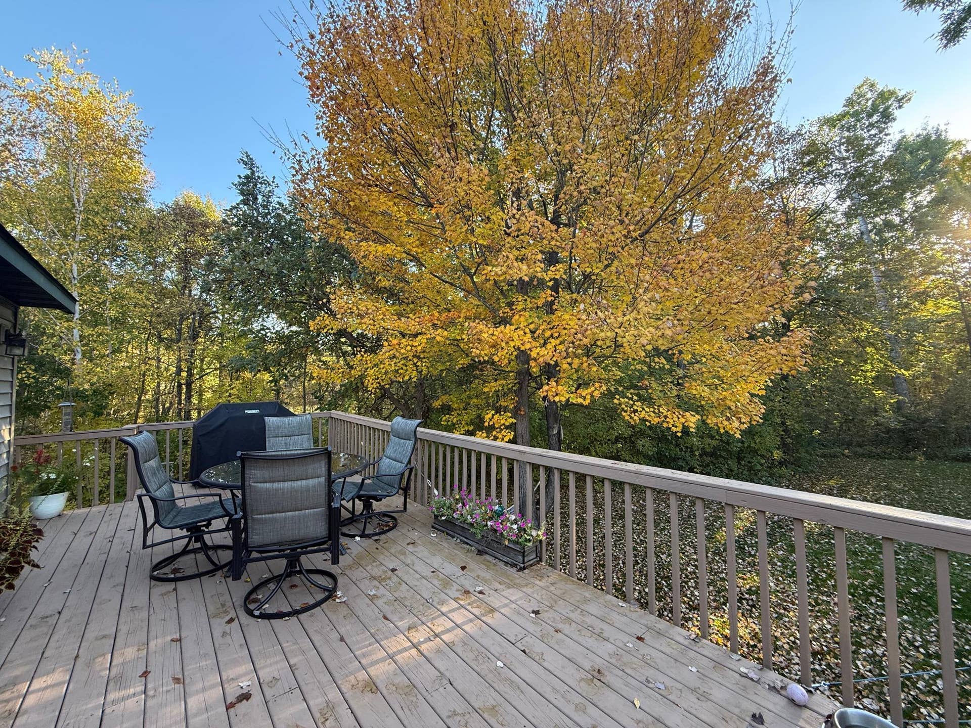 3914 Alder Street NE, Bemidji, MN 56601 Enjoy the deck at fall time!