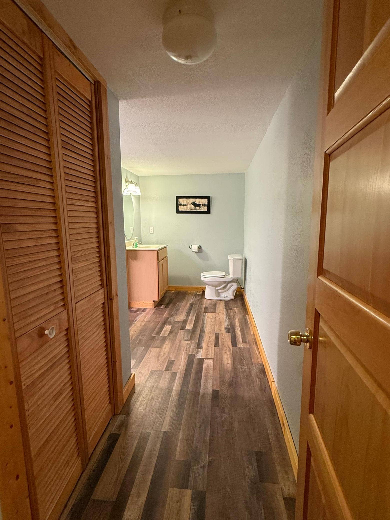 3914 Alder Street NE, Bemidji, MN 56601 Lower level bathroom