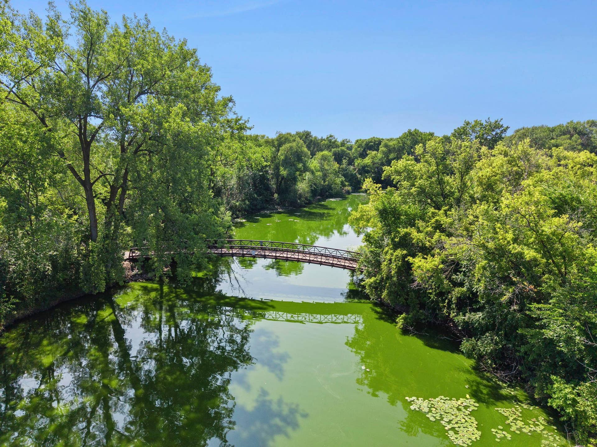 14333 91st Place N, Maple Grove, MN 55369 Rice Lake and this cute bridge!