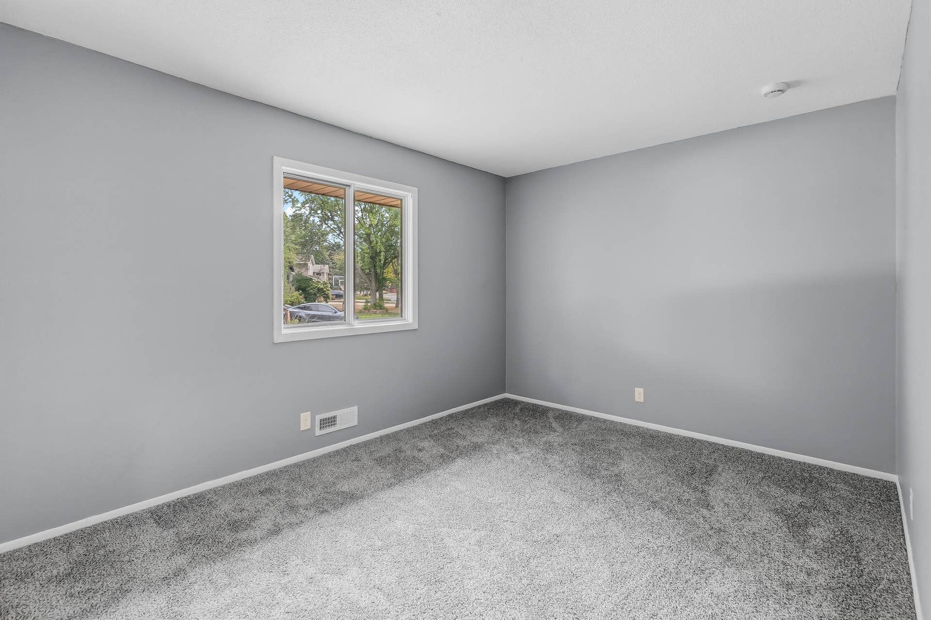 New Carpet