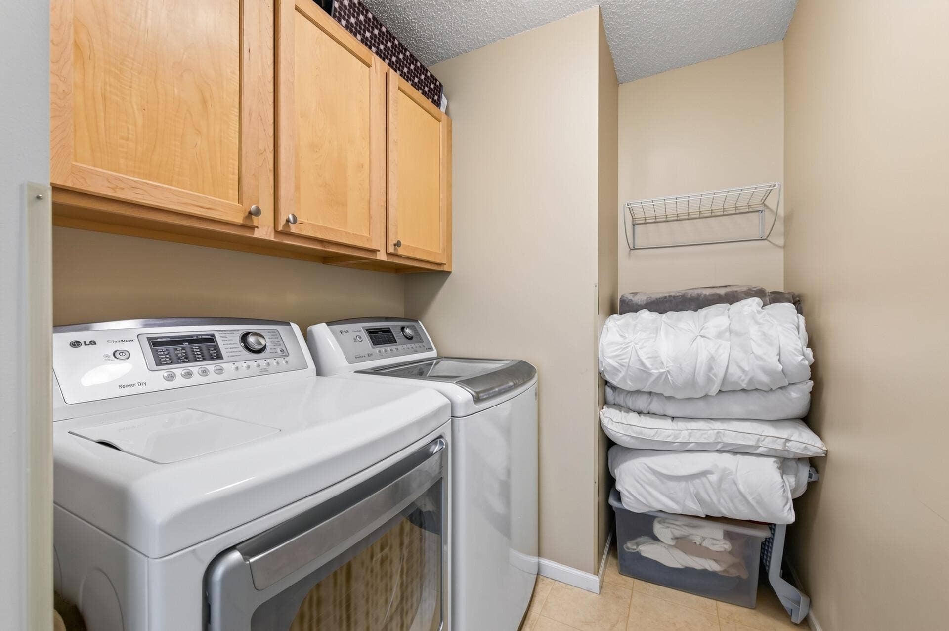 201 Alberta Lane, Little Canada, MN 55117 Laundry Room