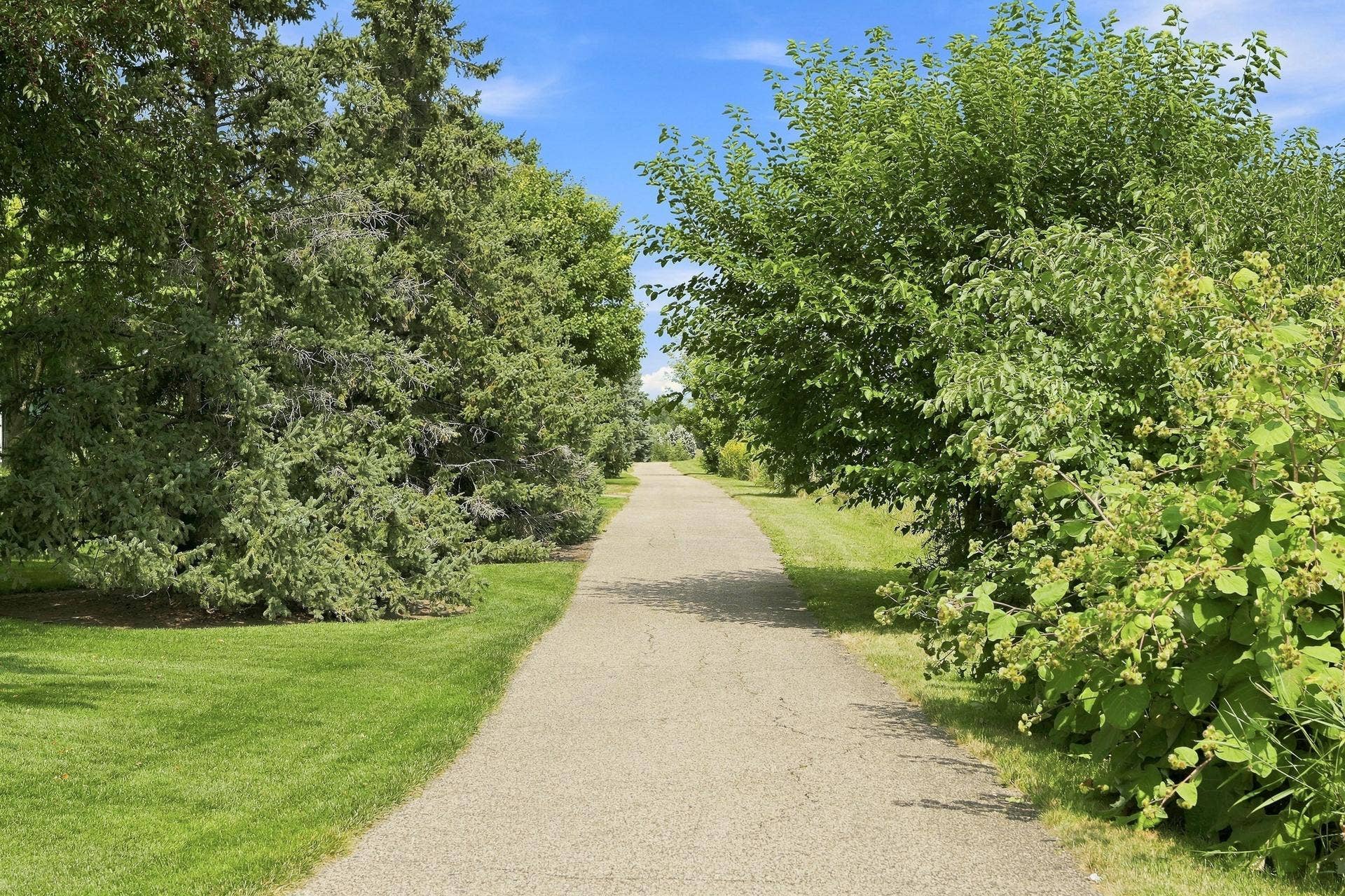 11021 Oak Grove Circle #C, Woodbury, MN 55129 Bailey's Arbor 7.5 Miles of Trails